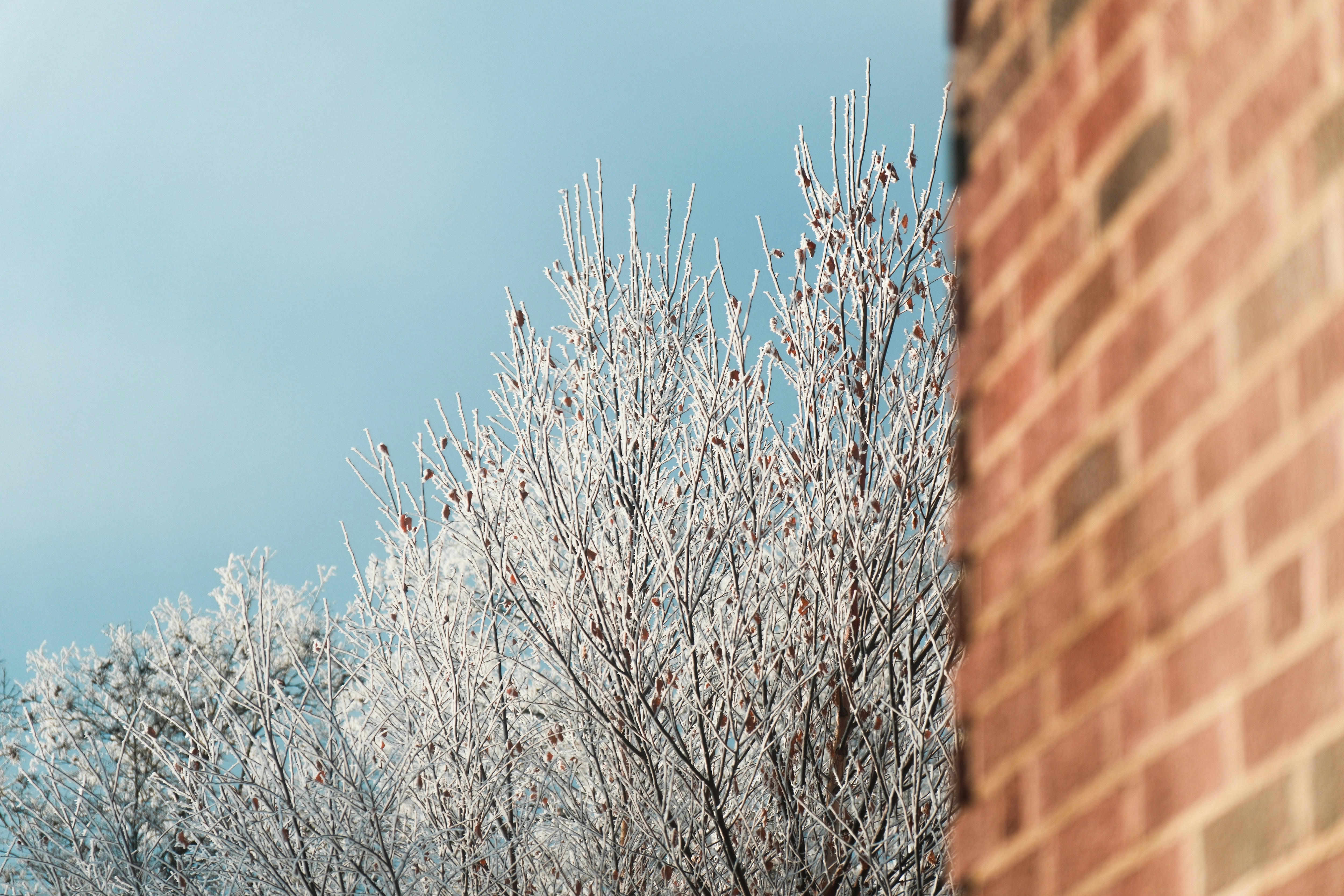 Photo by consoledotlog