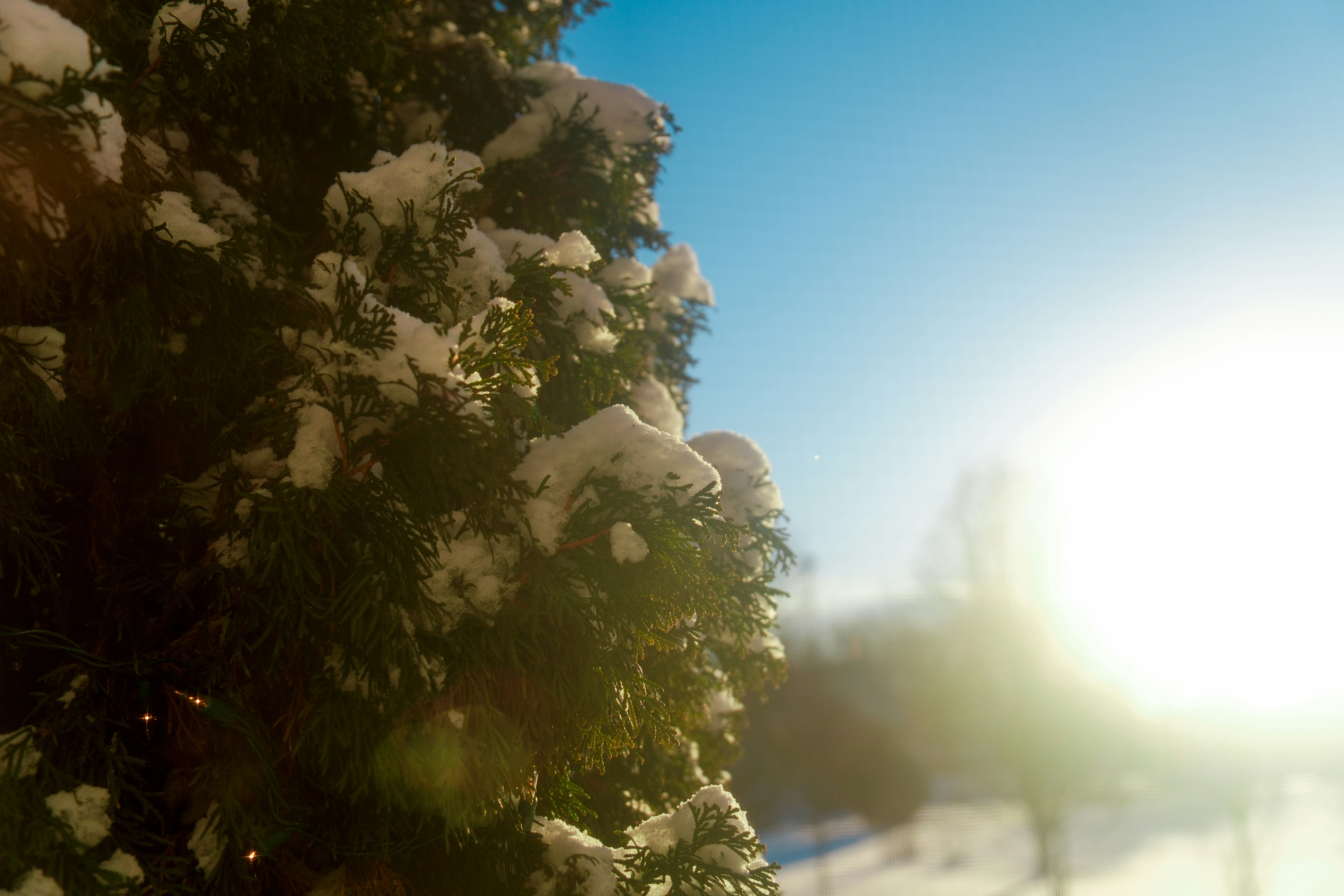 Photo by consoledotlog