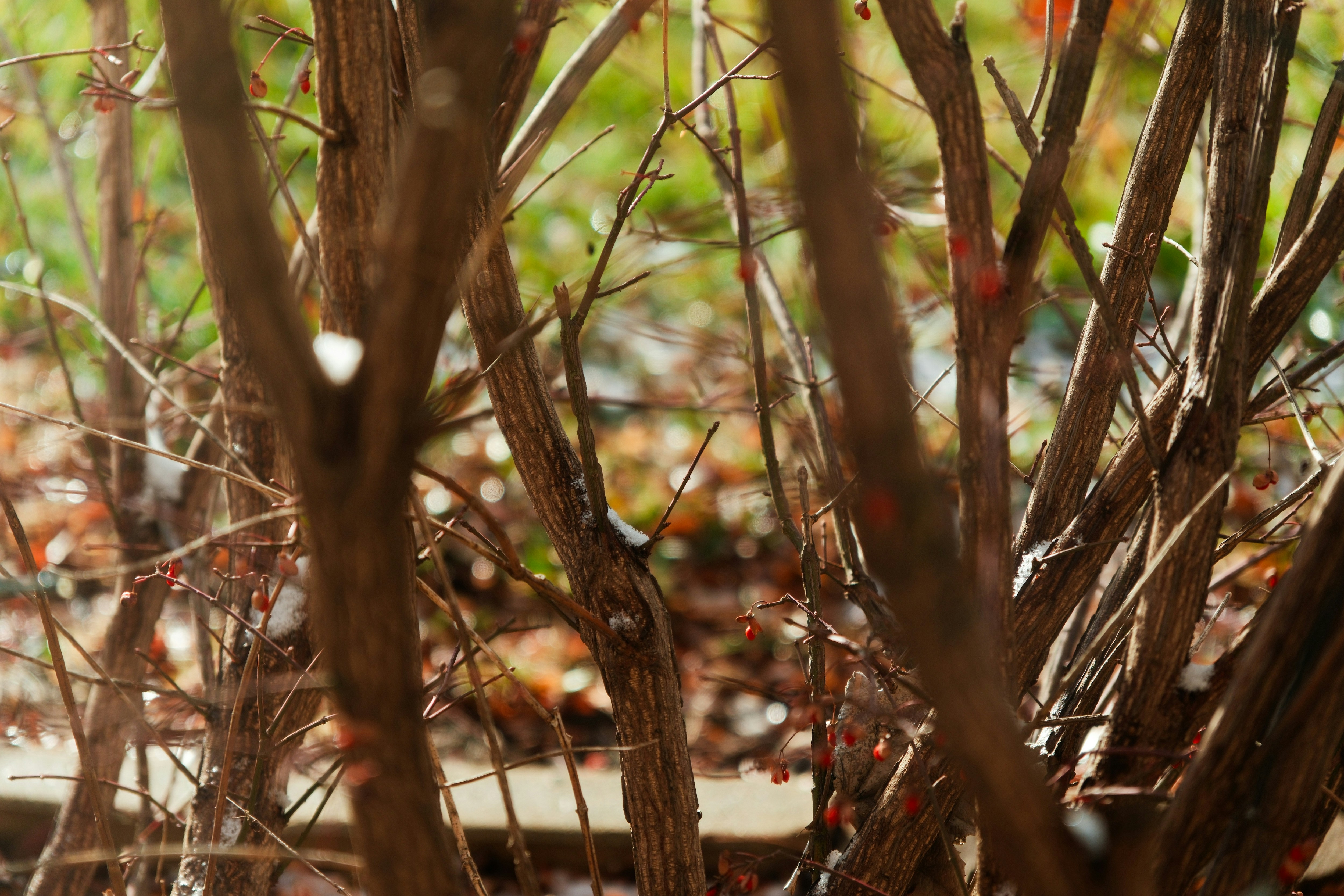 Photo by consoledotlog