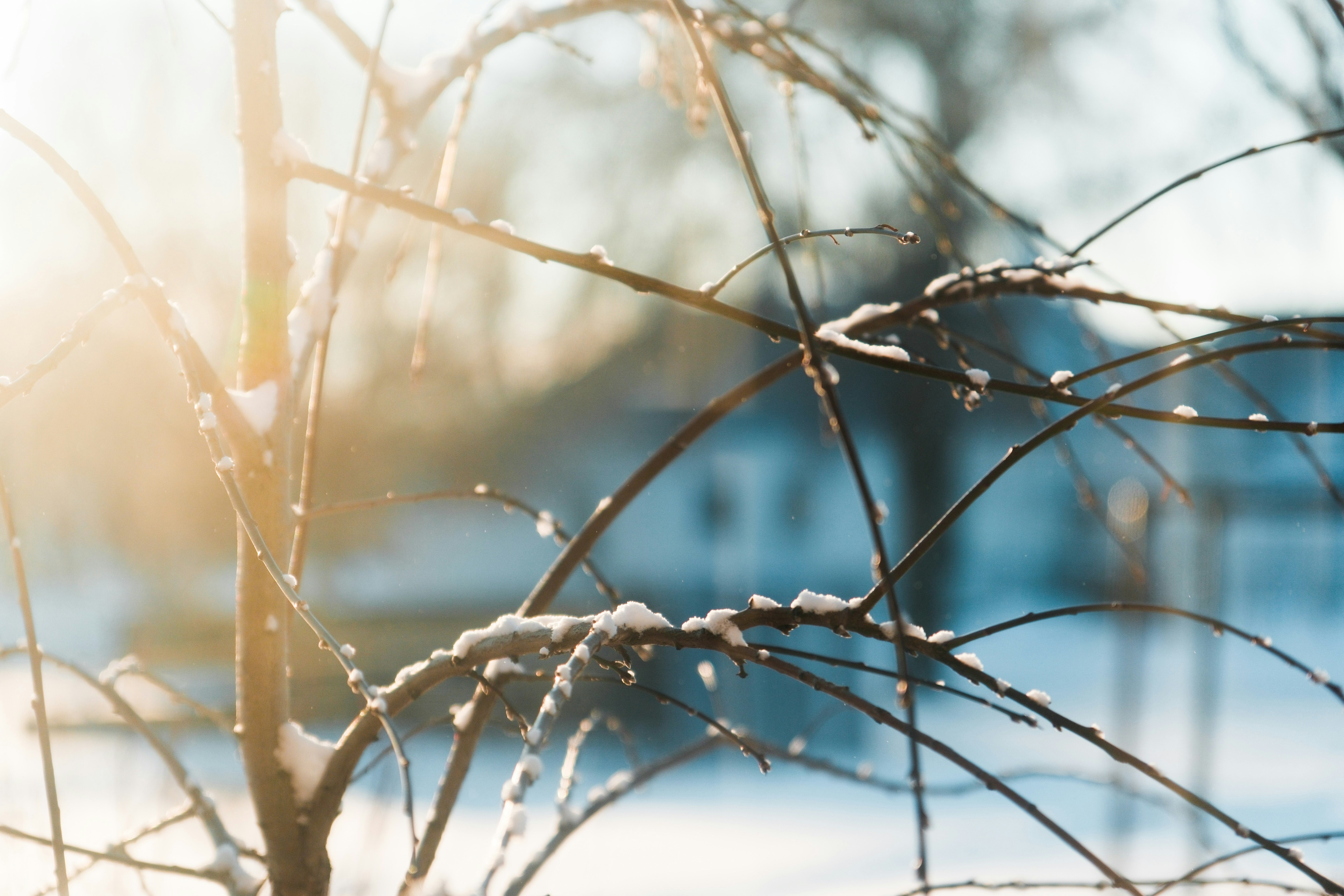 Photo by consoledotlog