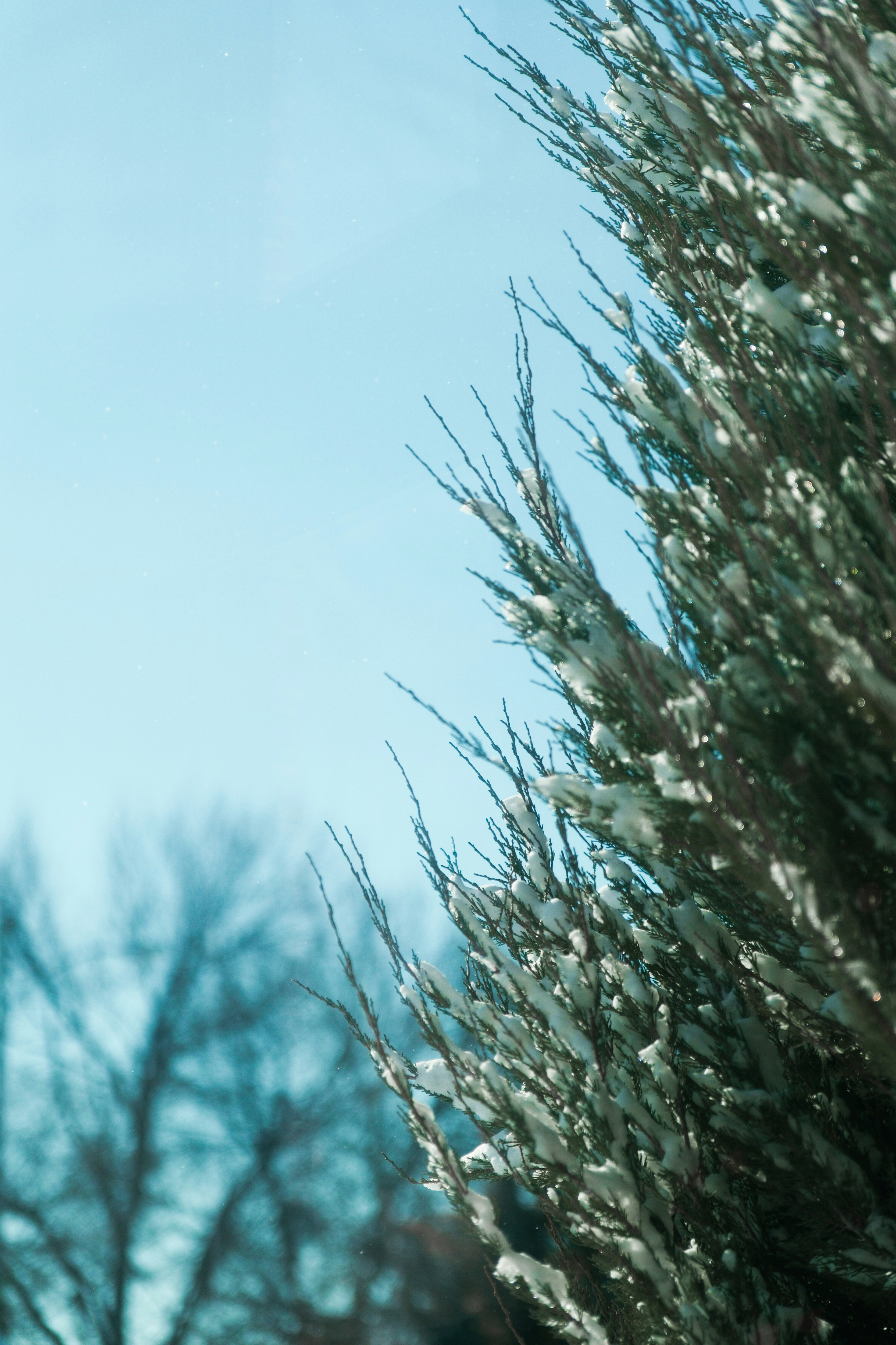 Photo by consoledotlog