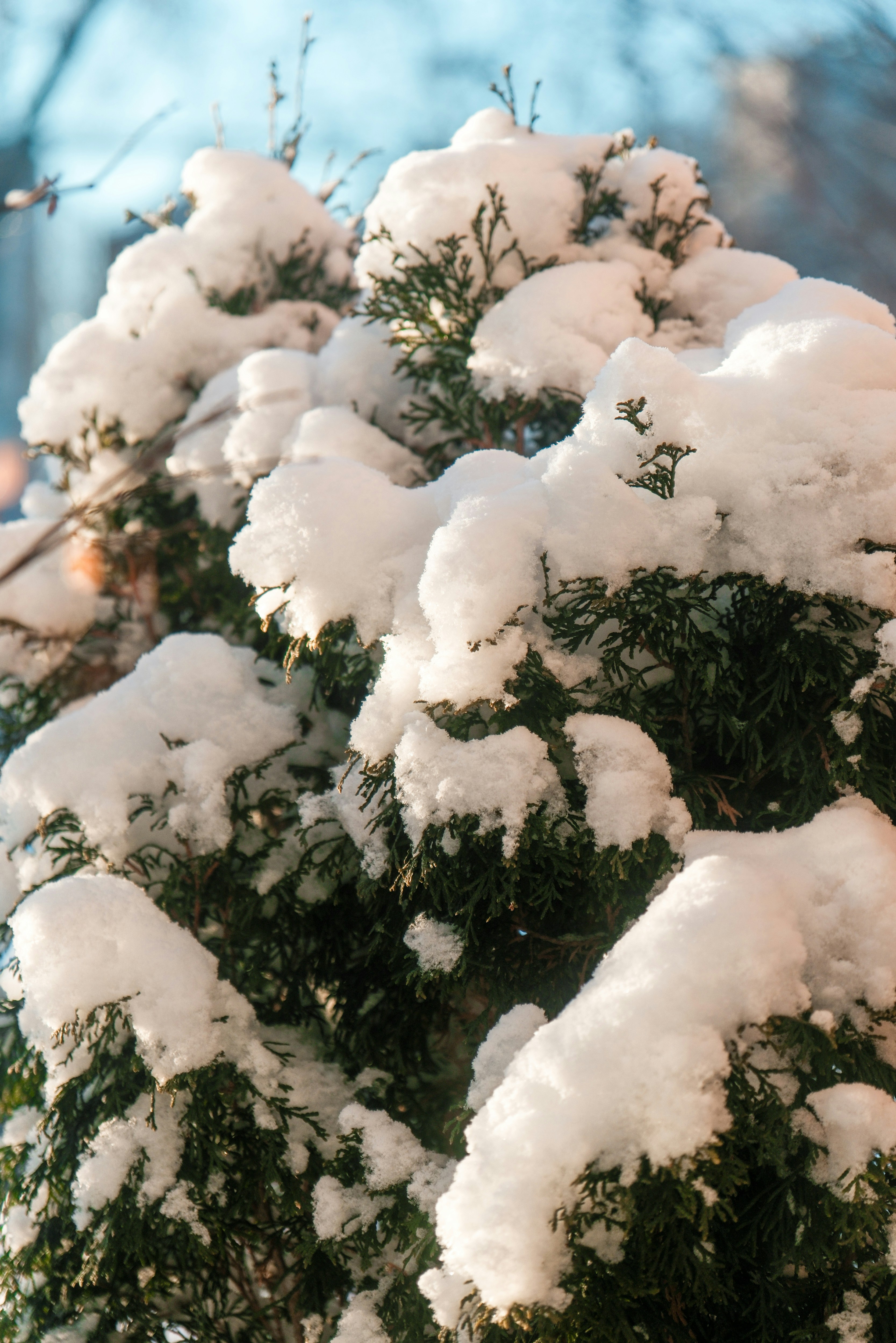 Photo by consoledotlog