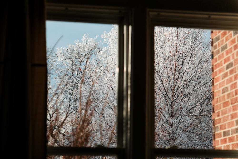 una vista di un albero al di fuori di una finestra