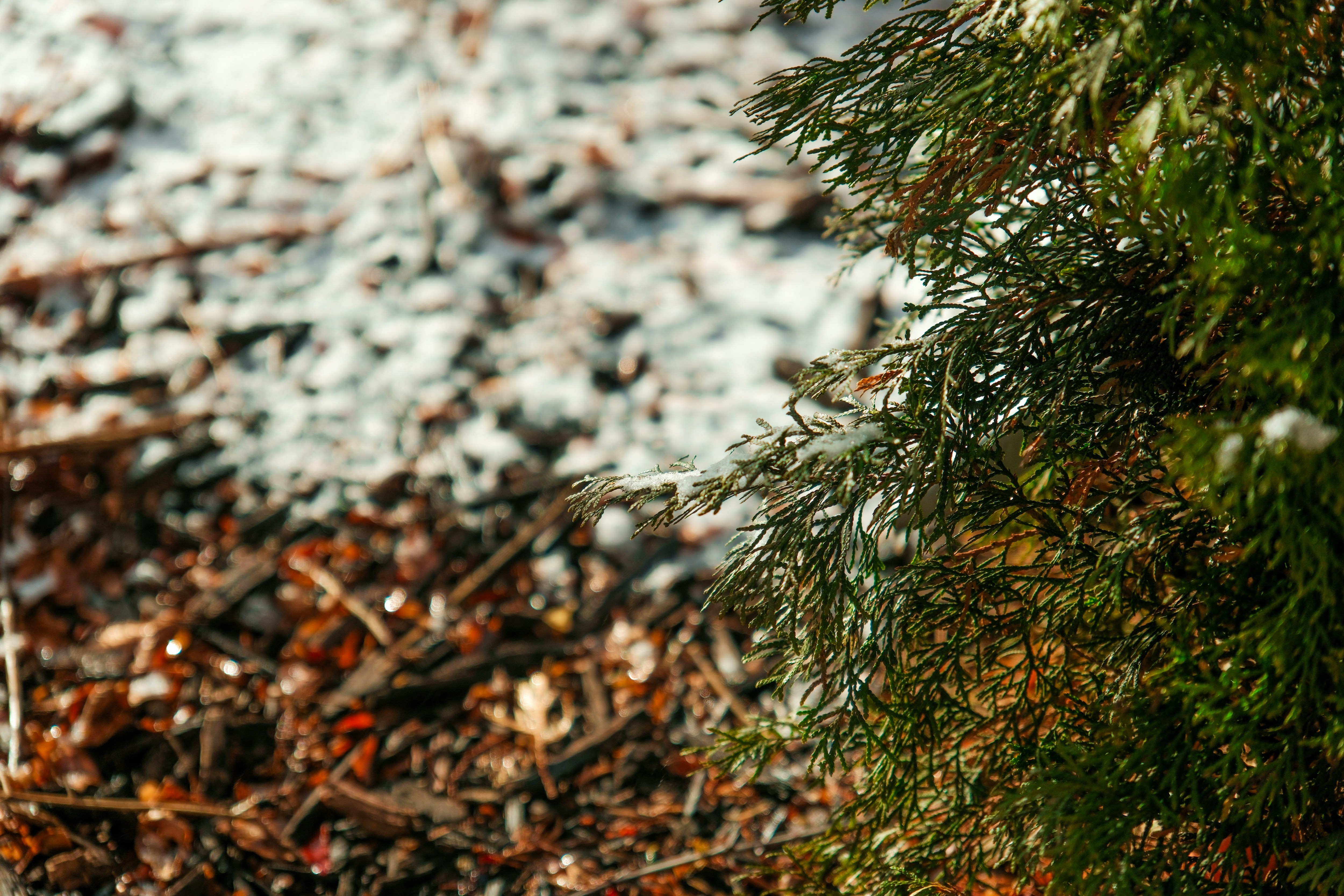 Photo by consoledotlog