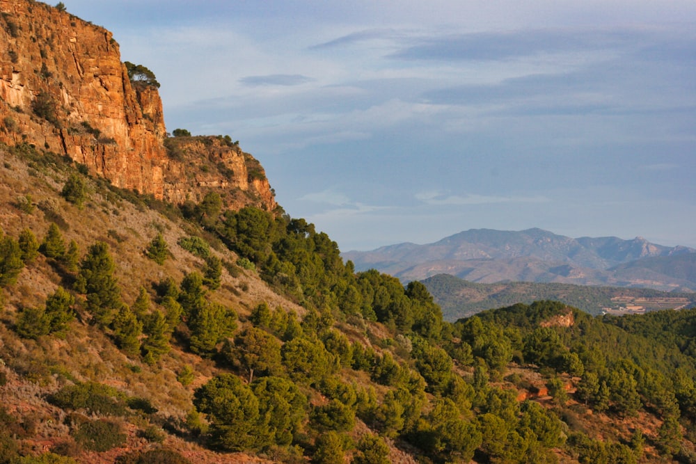 una ladera montañosa con árboles y montañas al fondo