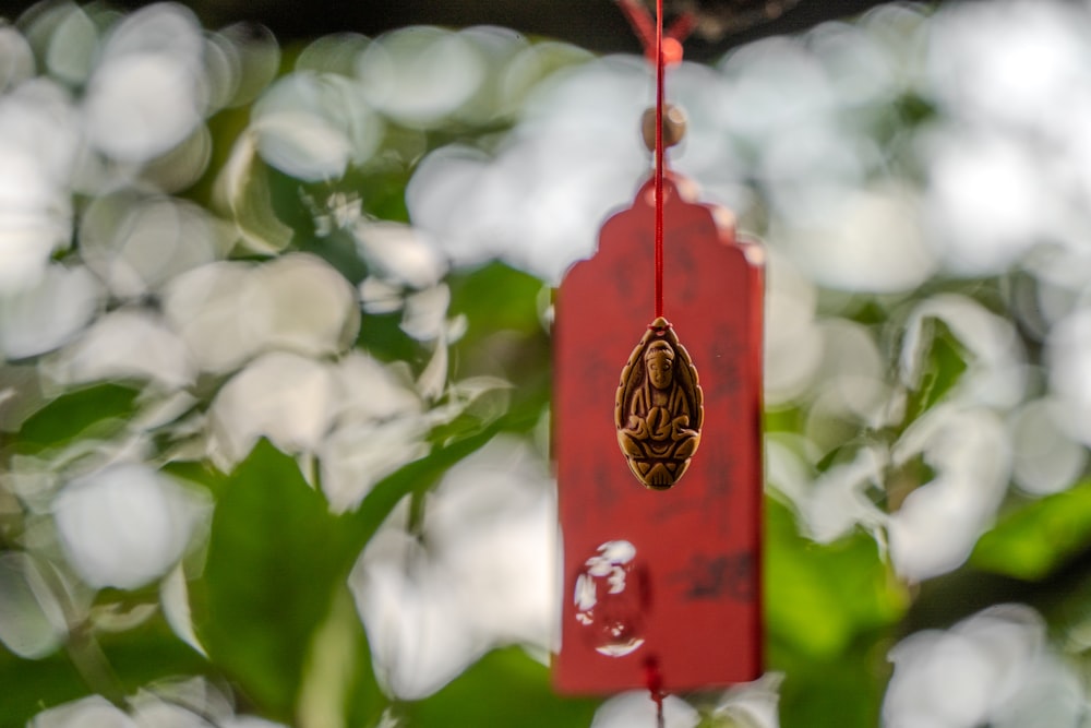 a close up of a red tag hanging from a tree