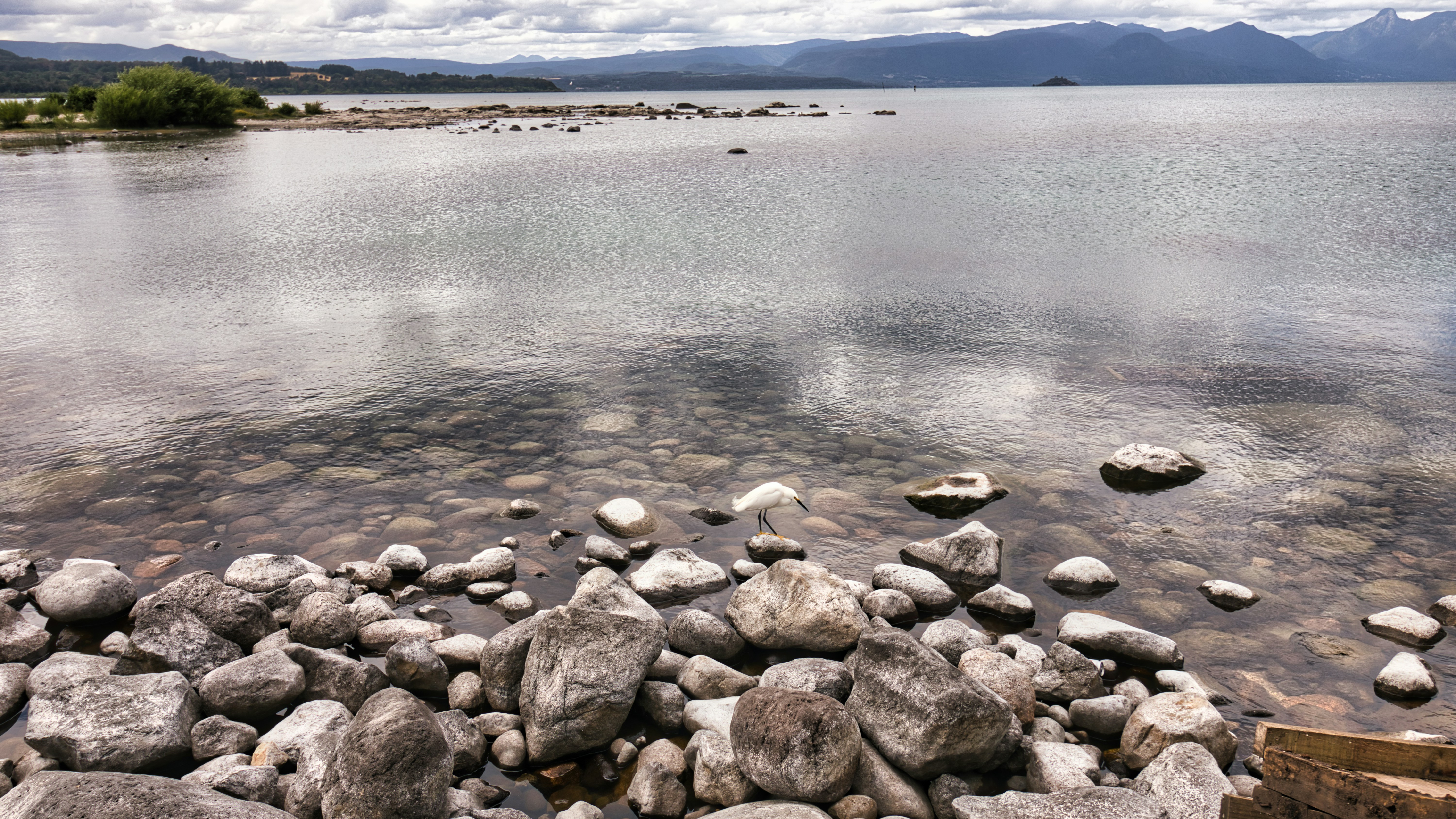 Photo by adelarivera