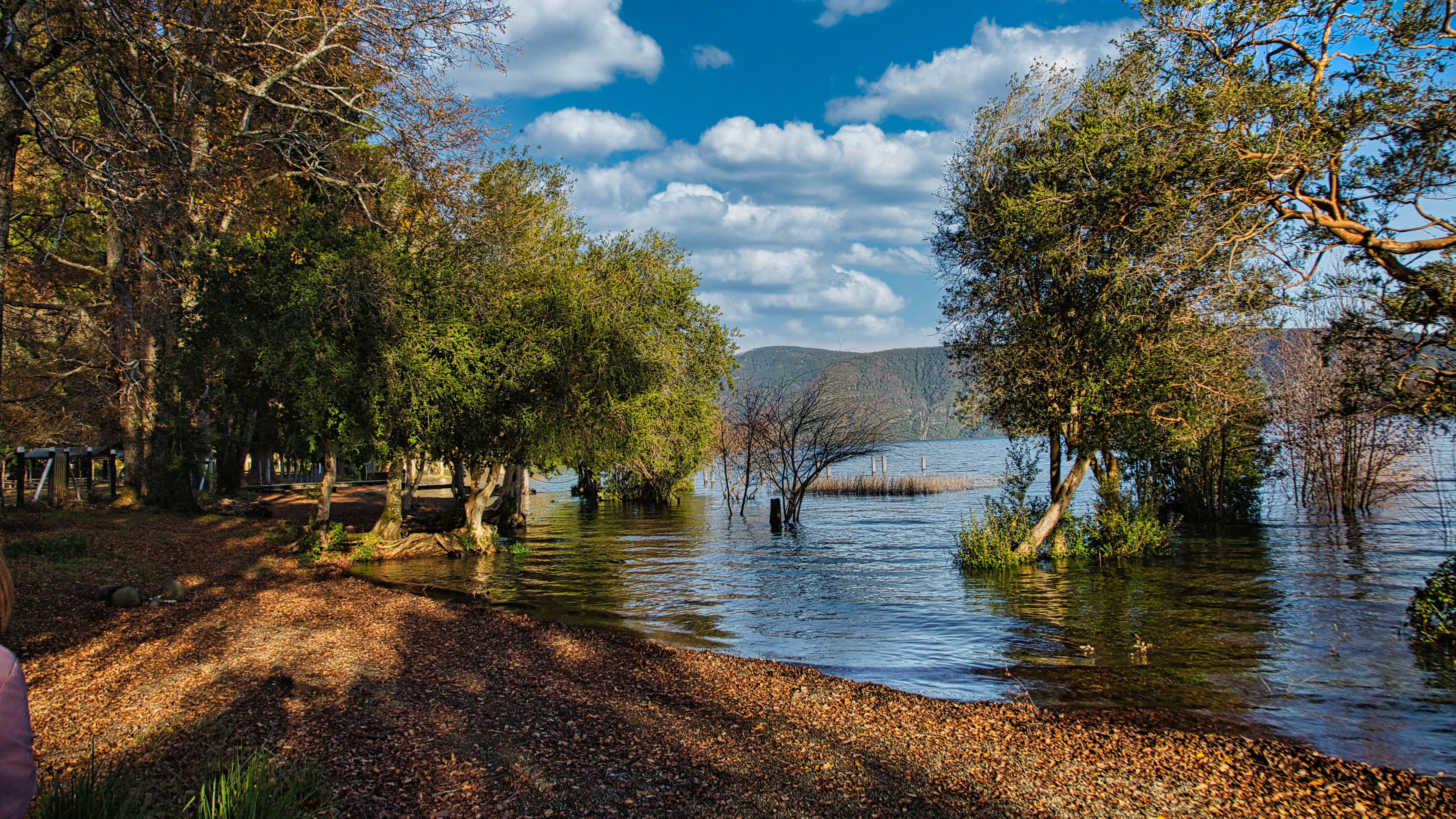 Photo by adelarivera