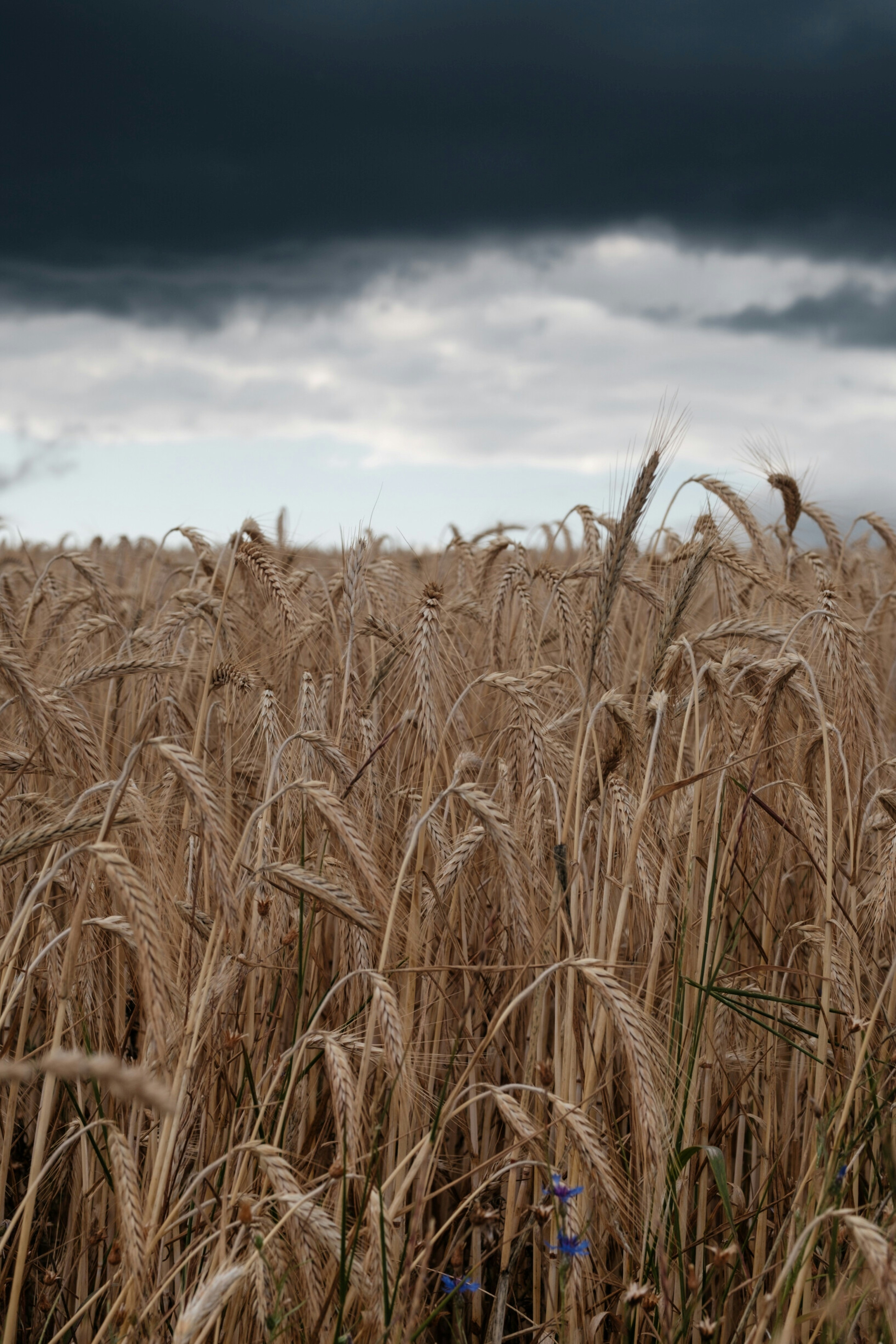 Photo by ilhamrahmat