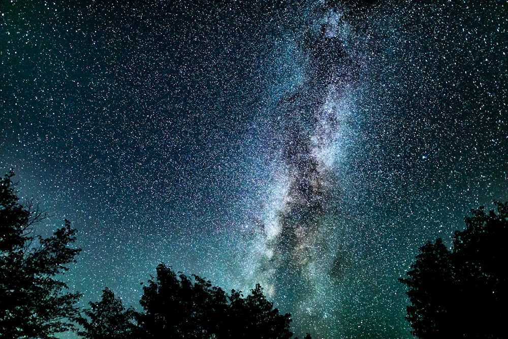 El cielo nocturno está lleno de estrellas y árboles