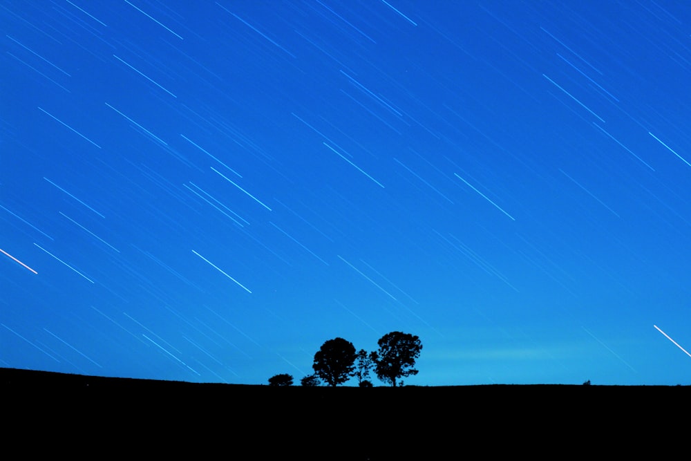 un cielo nocturno con estrellas y un árbol