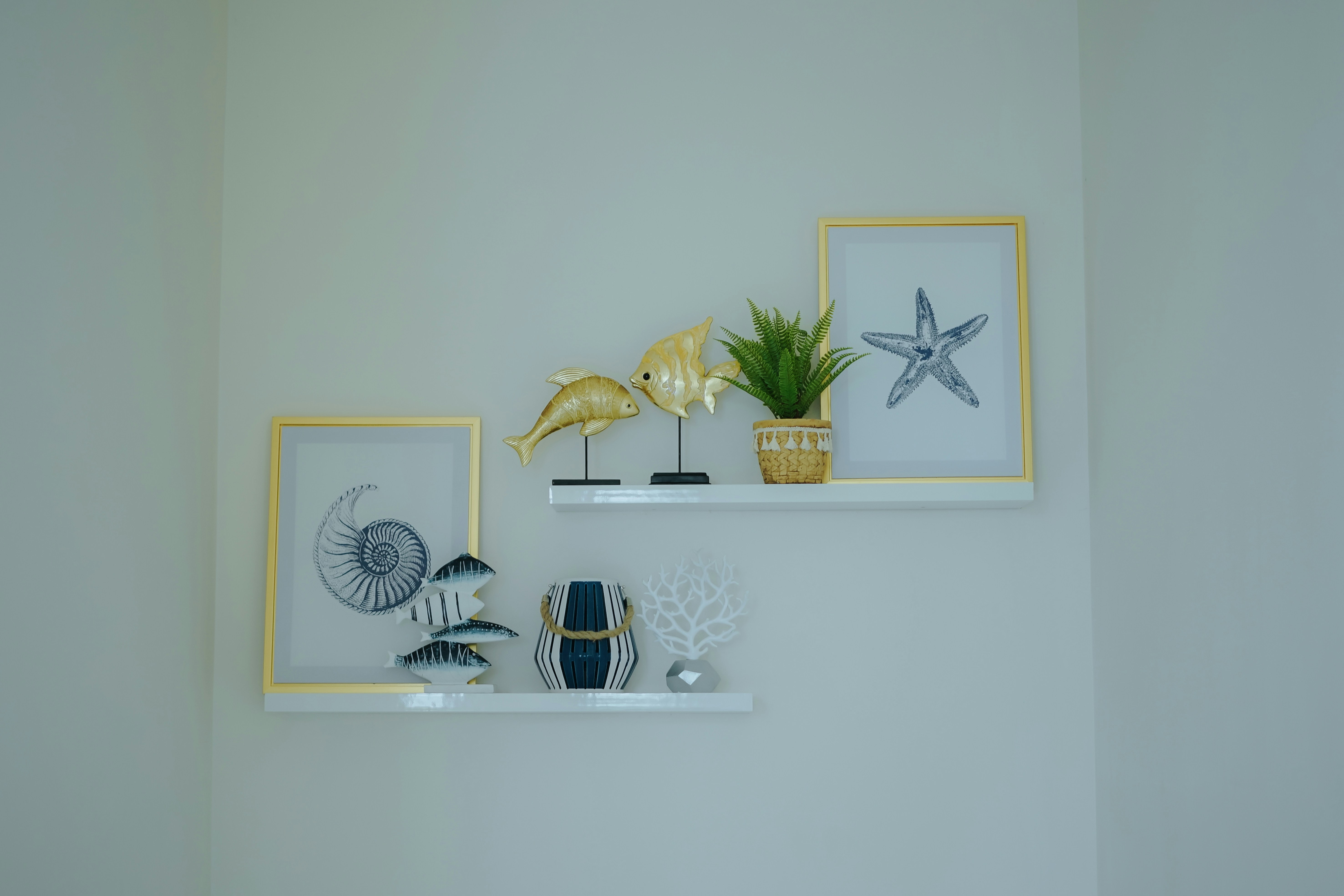 a couple of shelves that have some pictures on them