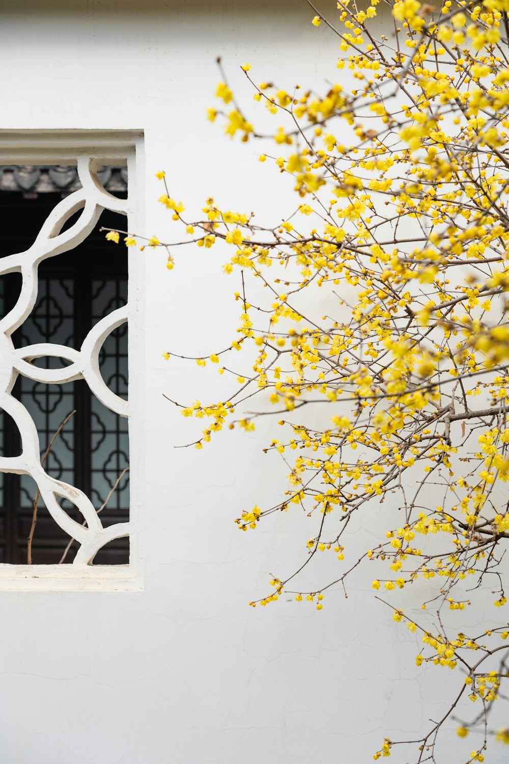 a white building with a window and yellow flowers