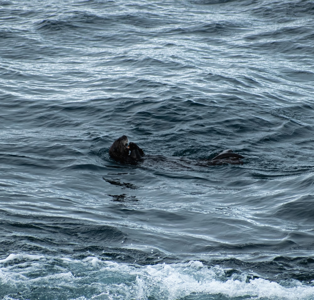 a man swimming in the ocean with his head above the water