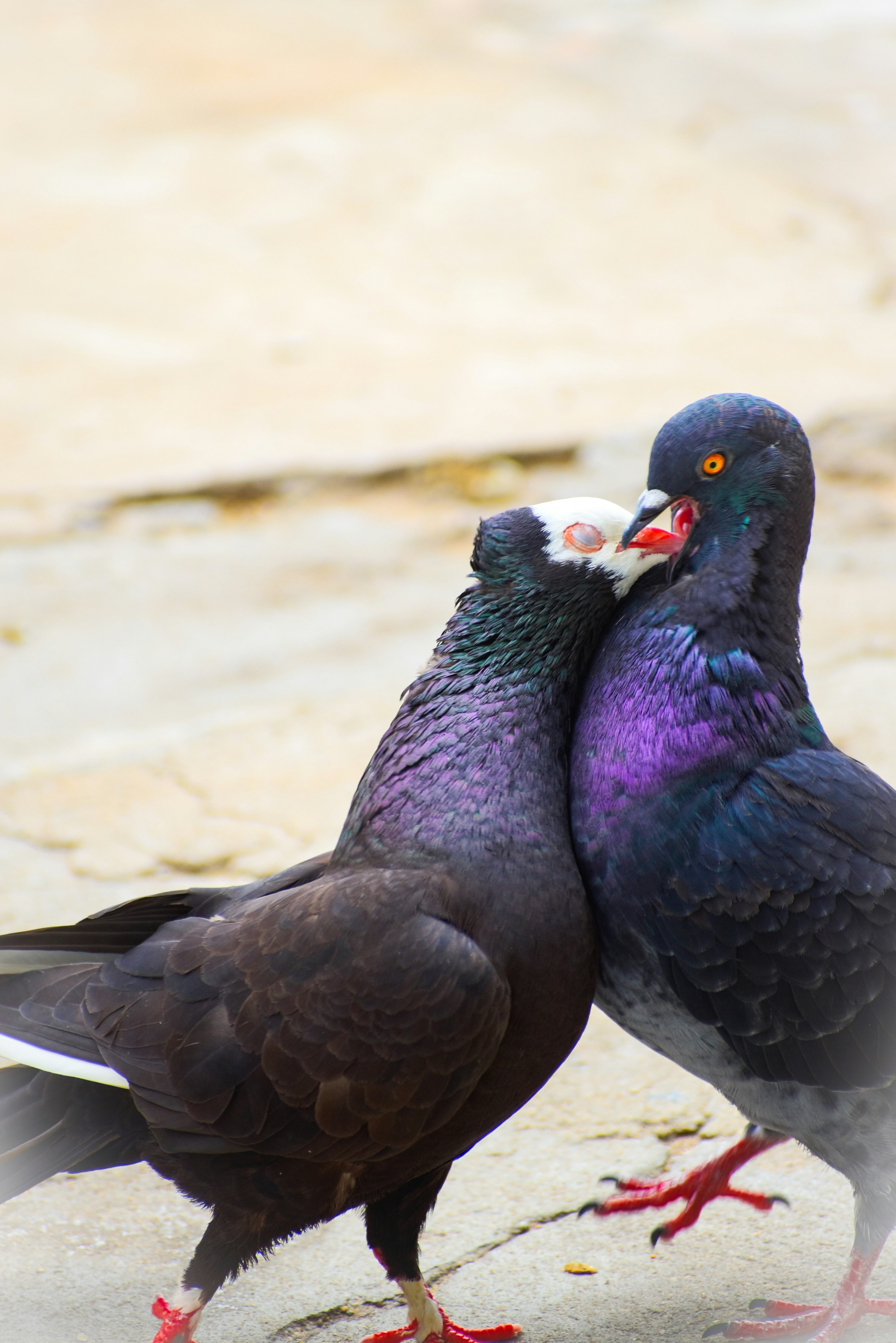 Photo by hacker_camerwork