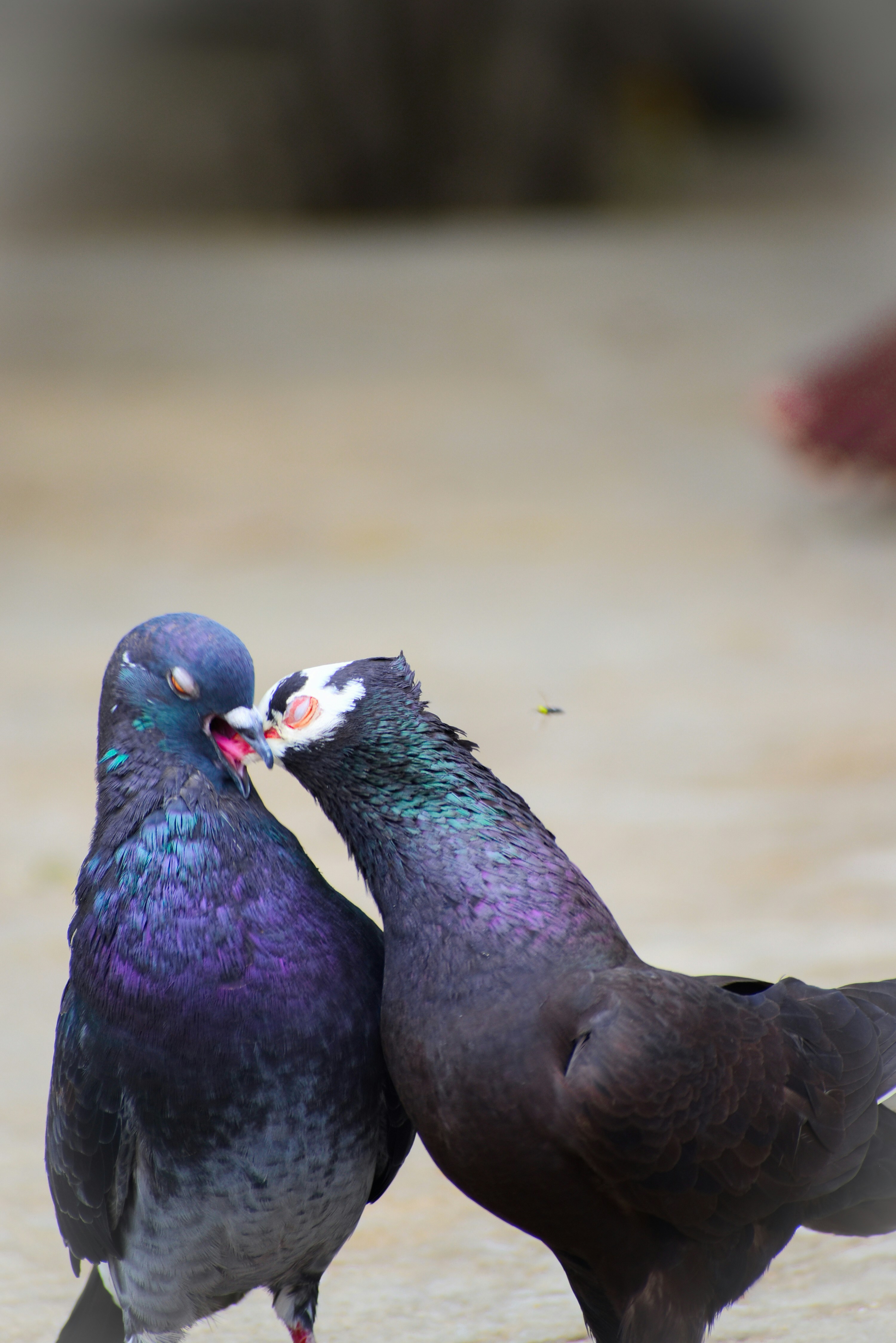 Photo by hacker_camerwork