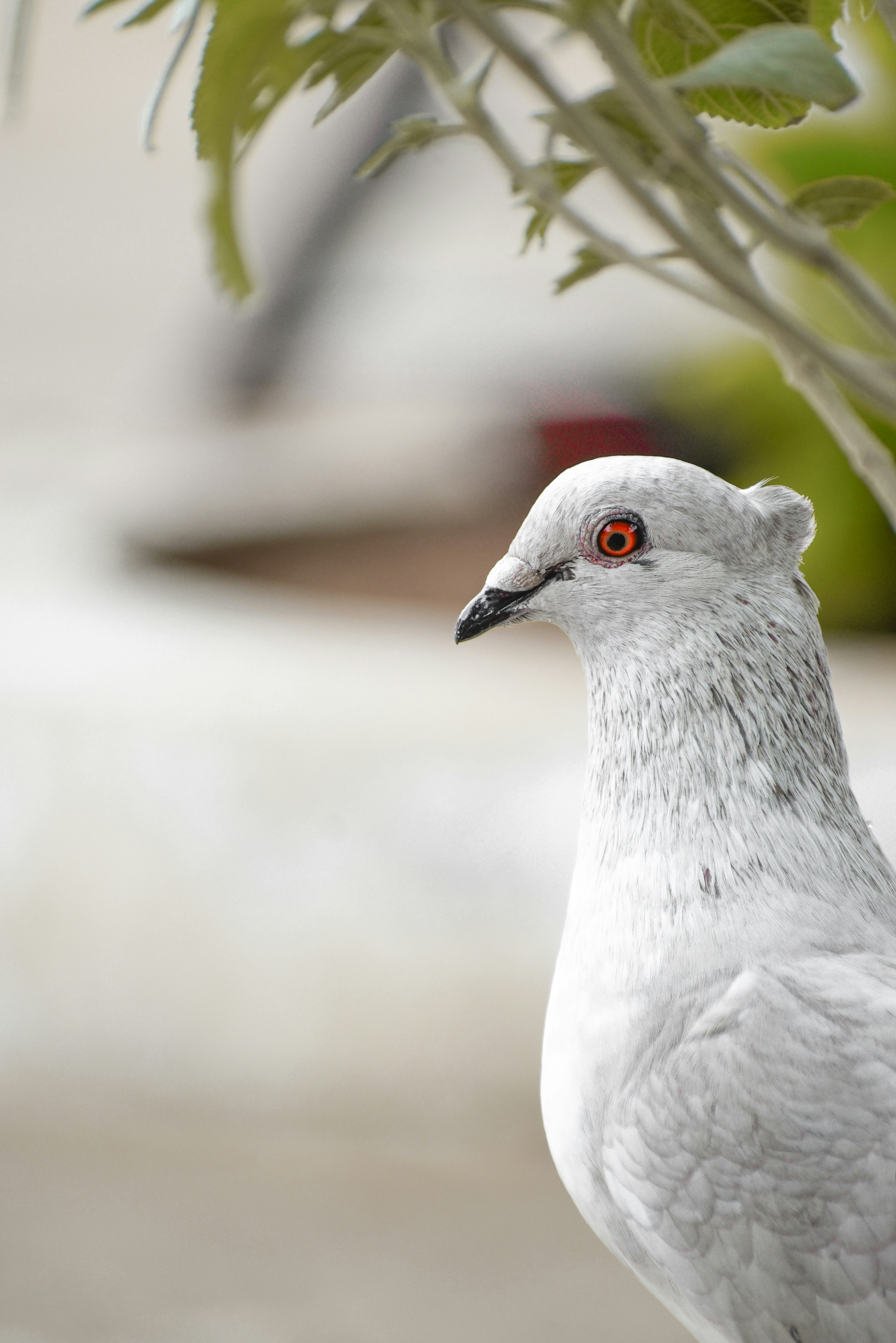 Photo by hacker_camerwork