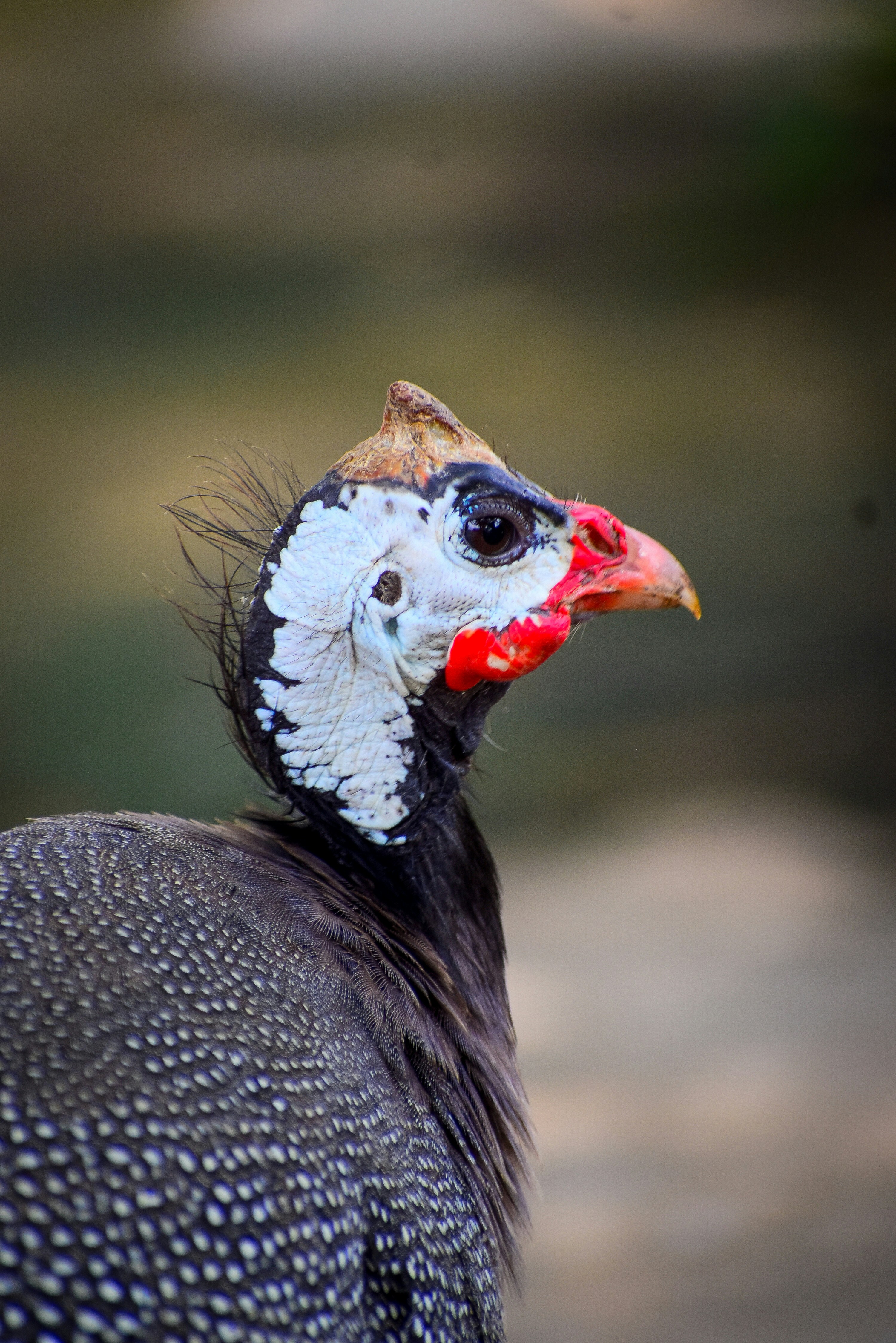 Photo by hacker_camerwork