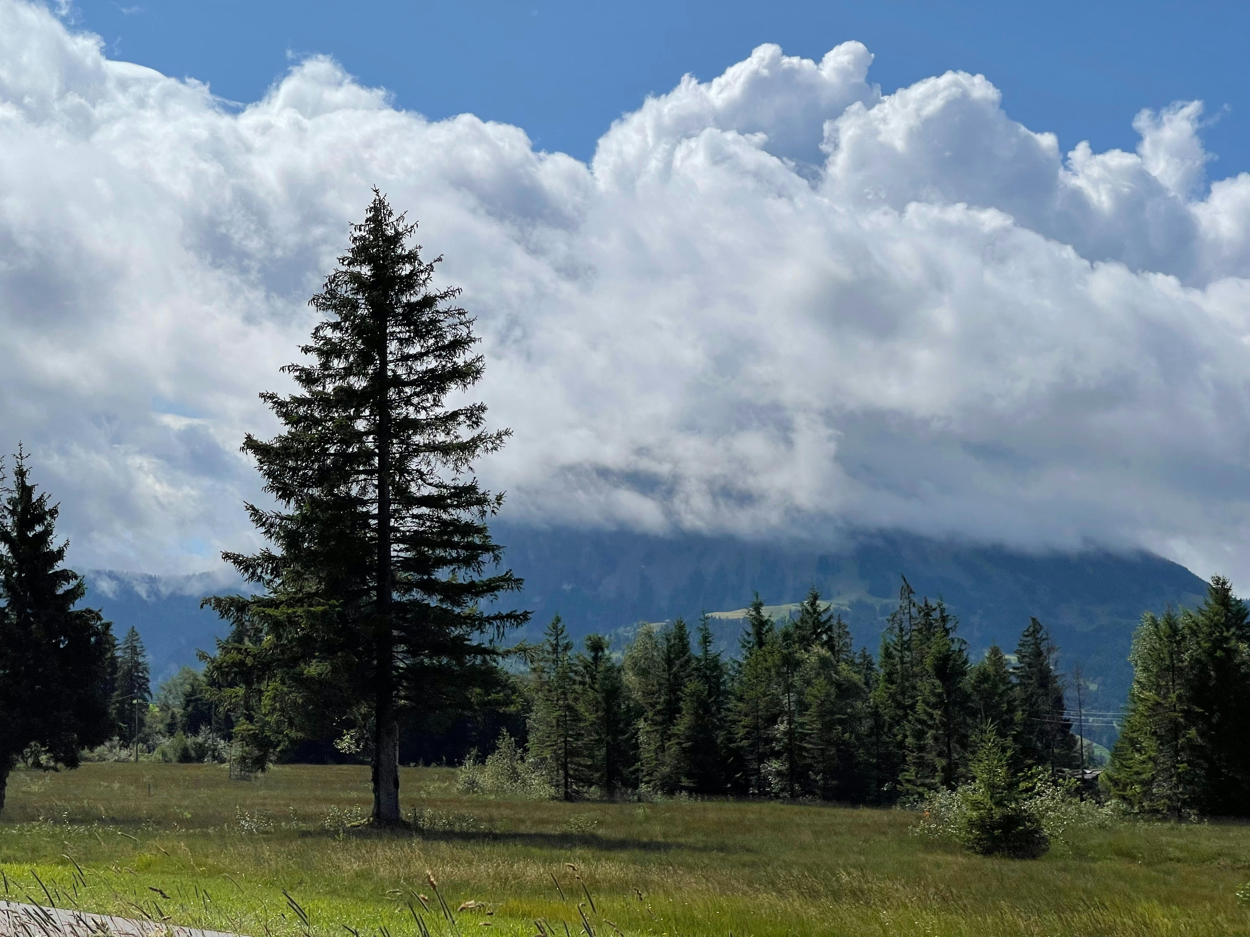 Photo by seandoherty886