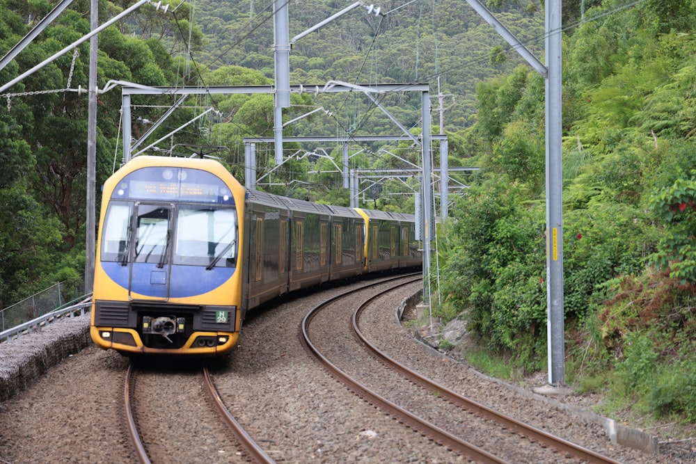 a yellow and blue train traveling down train tracks