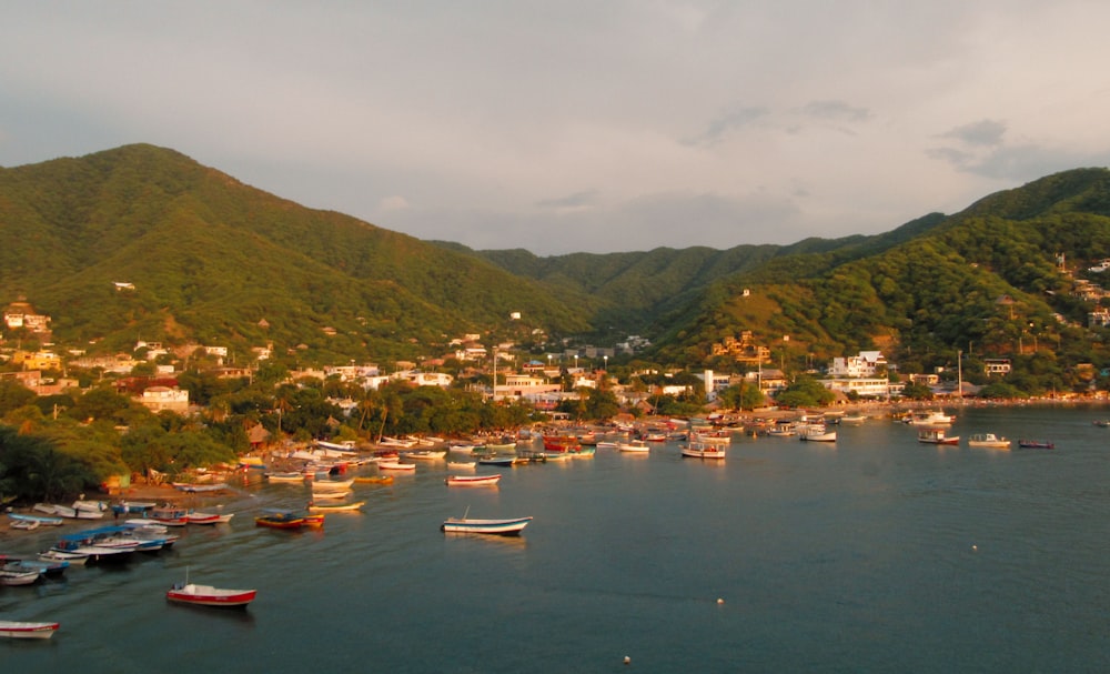 a body of water filled with lots of boats