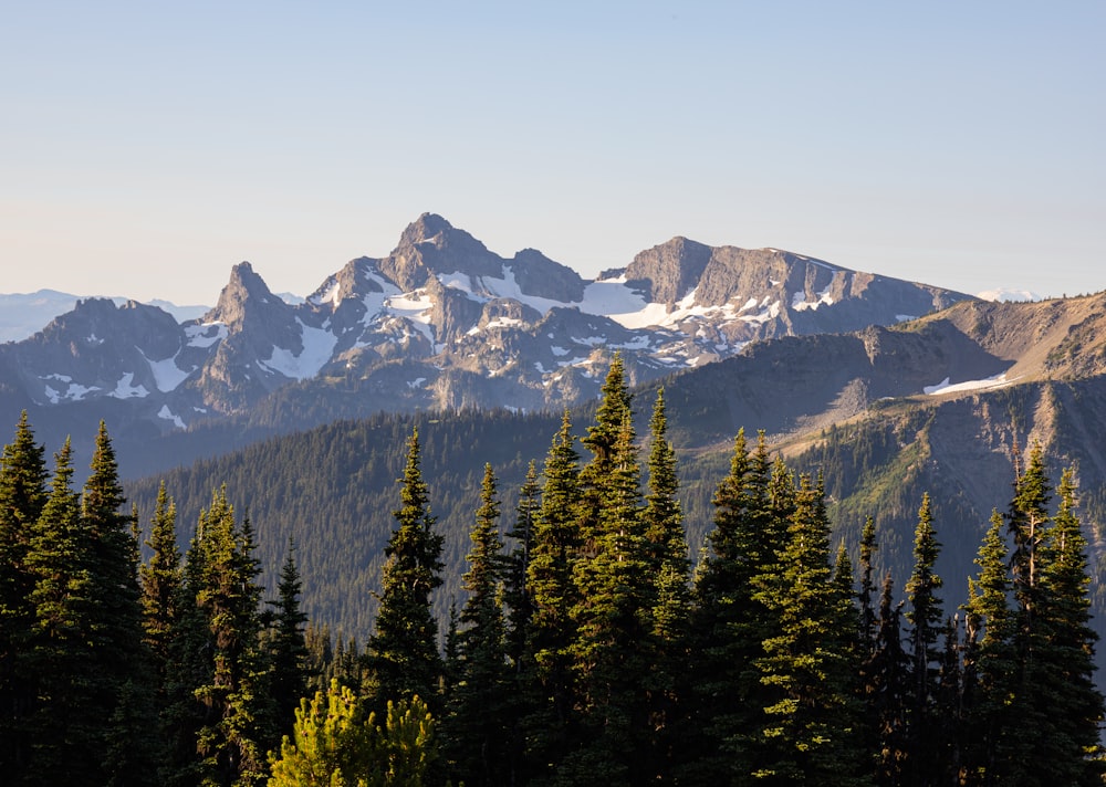 a view of a mountain range with trees in the foreground