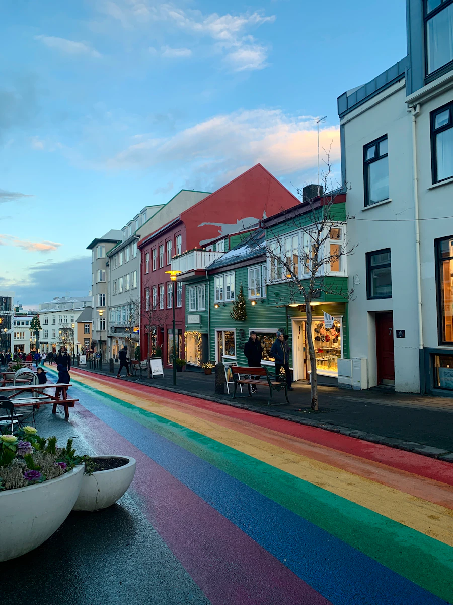 Reykjavik, view 1