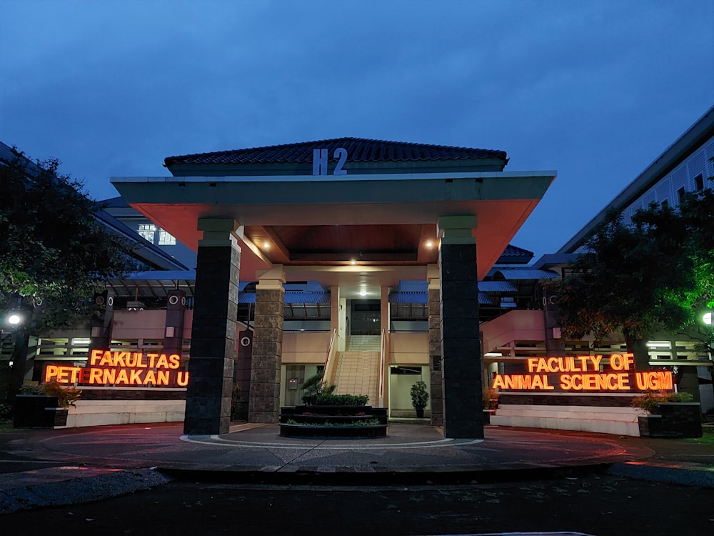 a lit up entrance to a pet store at night