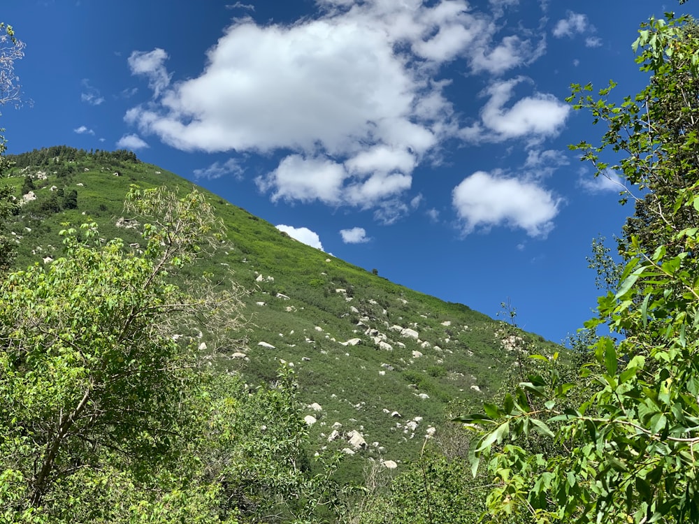 a green hill with a few clouds in the sky