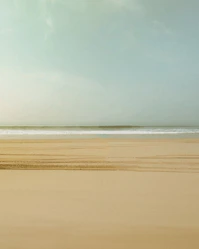 a person riding a horse on a beach