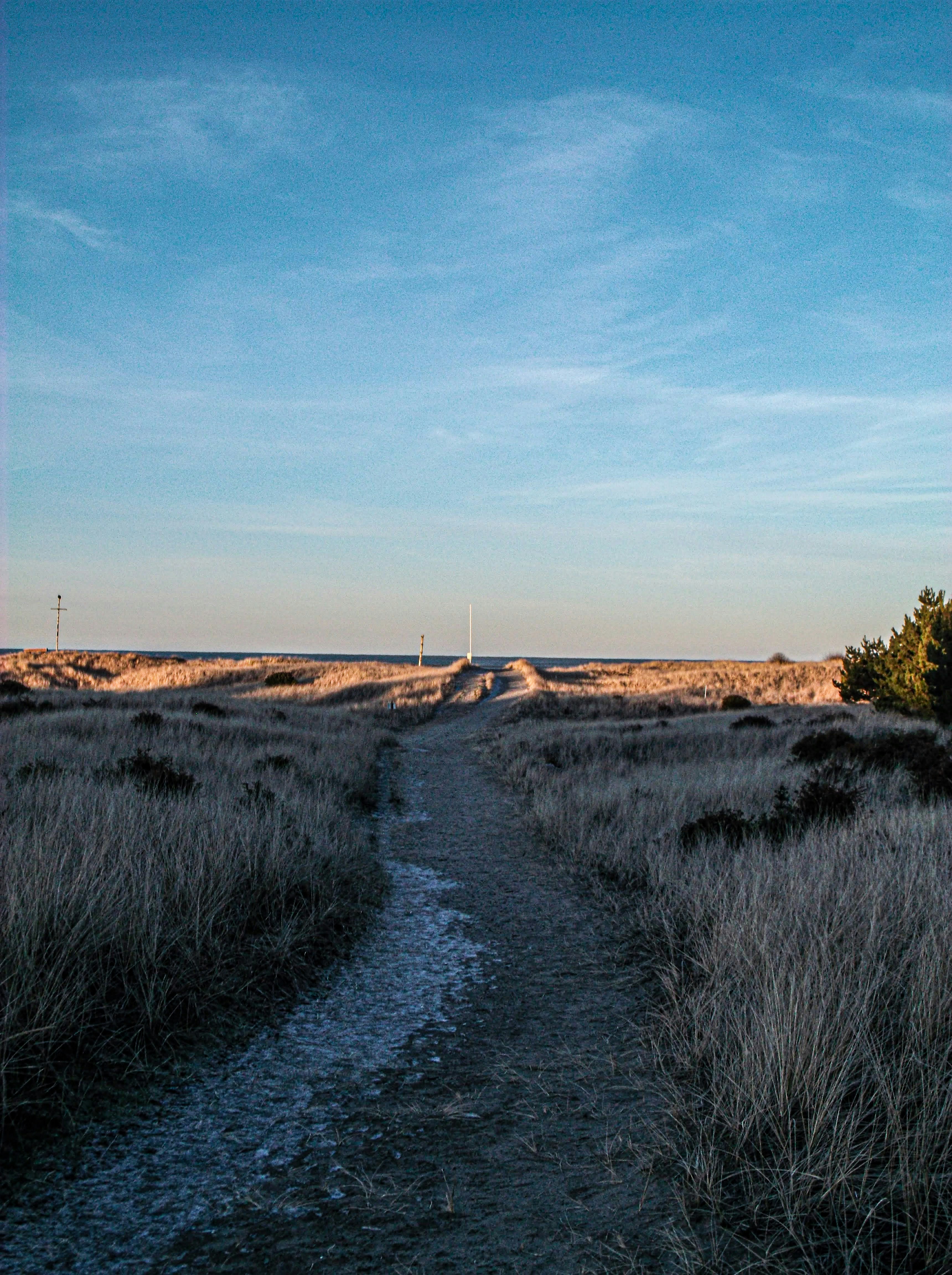 Photo by prphotography262