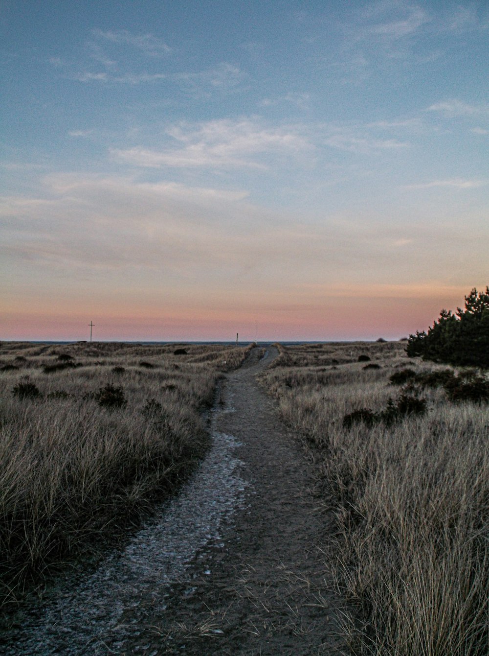 a path in the middle of a grassy field