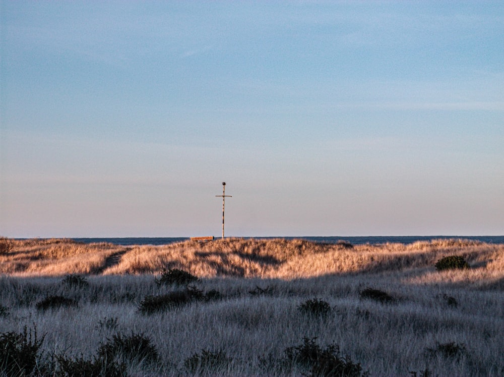 a field with a radio tower in the distance