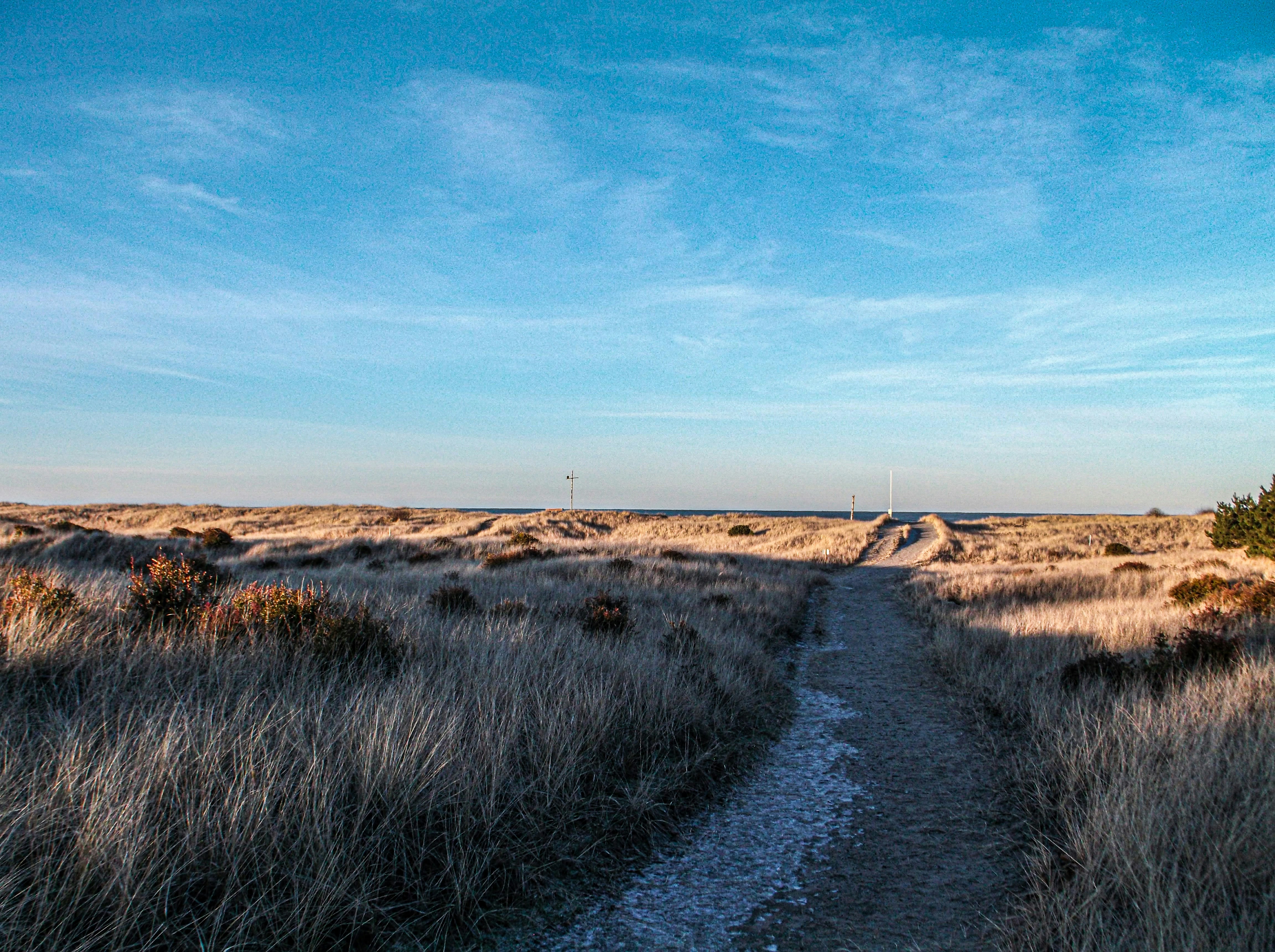 Photo by prphotography262