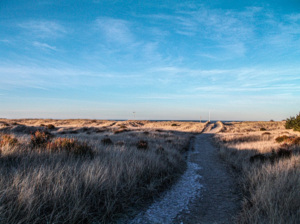 a dirt road in the middle of a field