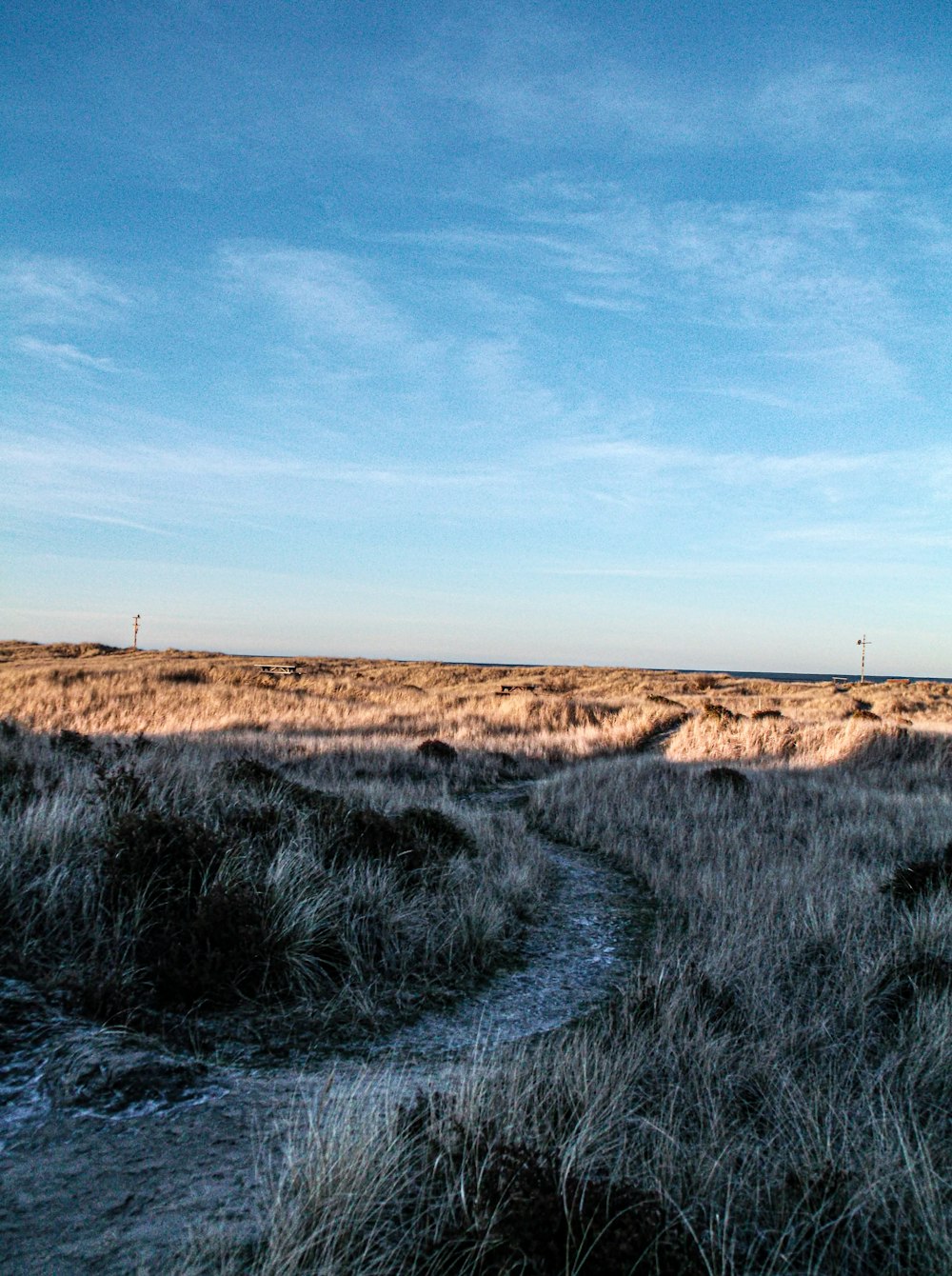 a grassy field with a blue sky in the background