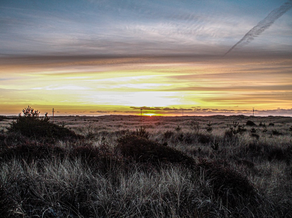 the sun is setting in the distance over a field