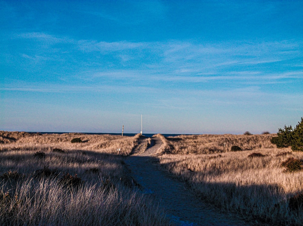 a dirt road in the middle of a field