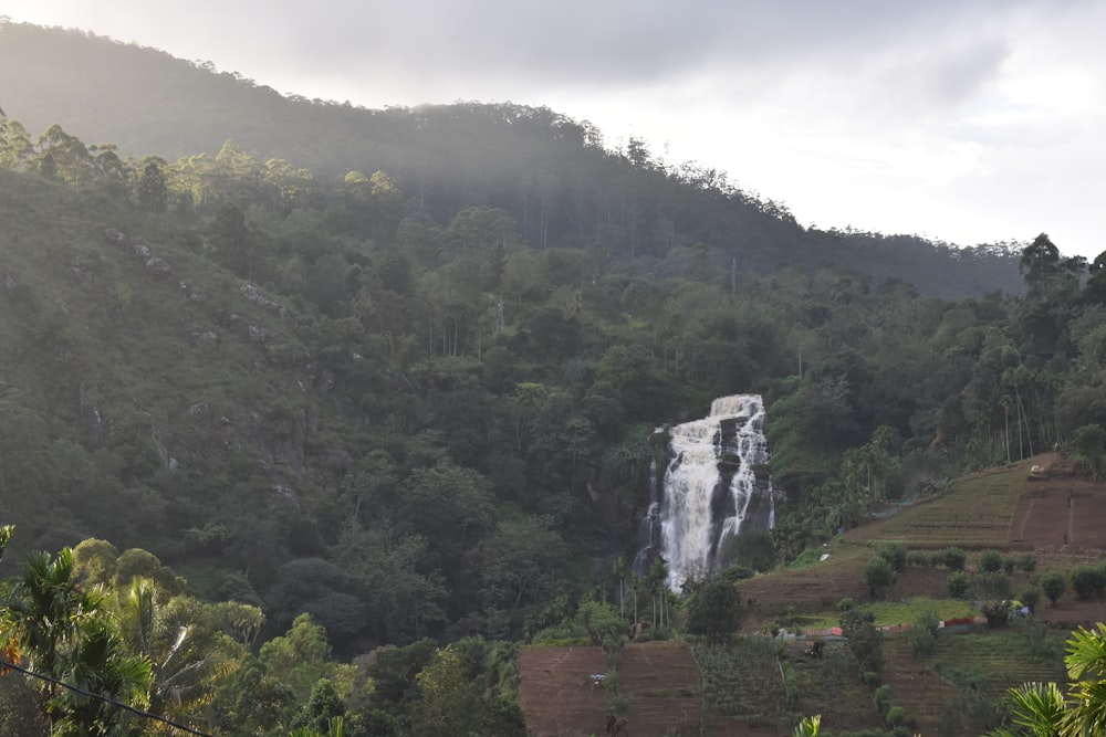 a waterfall in the middle of a forest