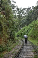 Kandy → Nuwara Eliya