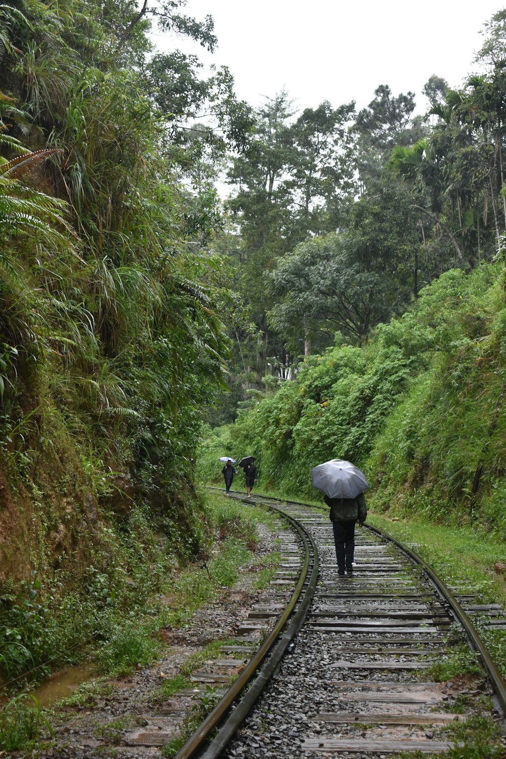 a person walking down a train track with an umbrella