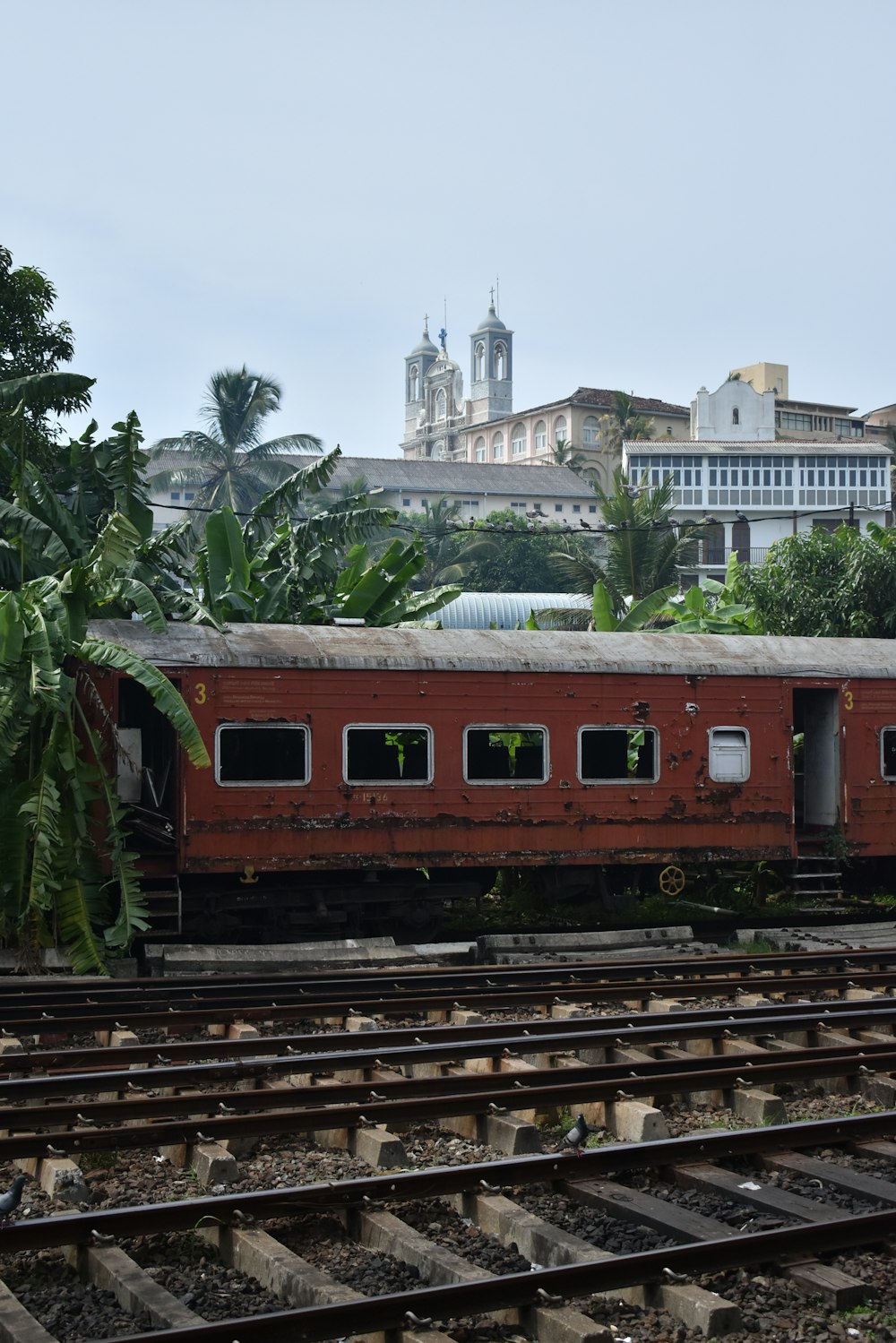 a red train traveling past a lush green forest