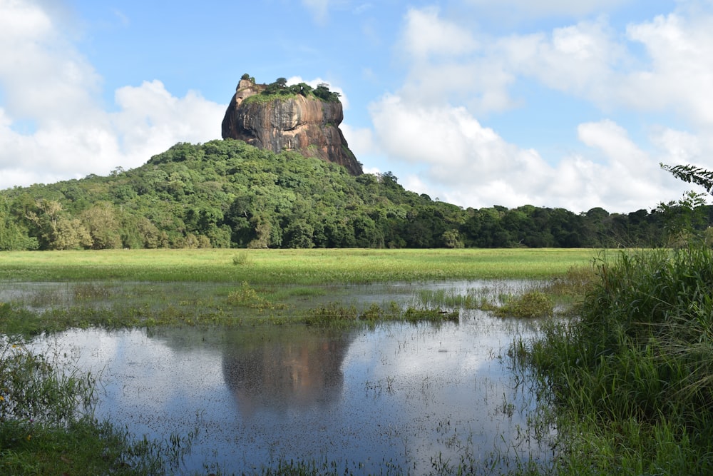 a large body of water sitting next to a lush green hillside