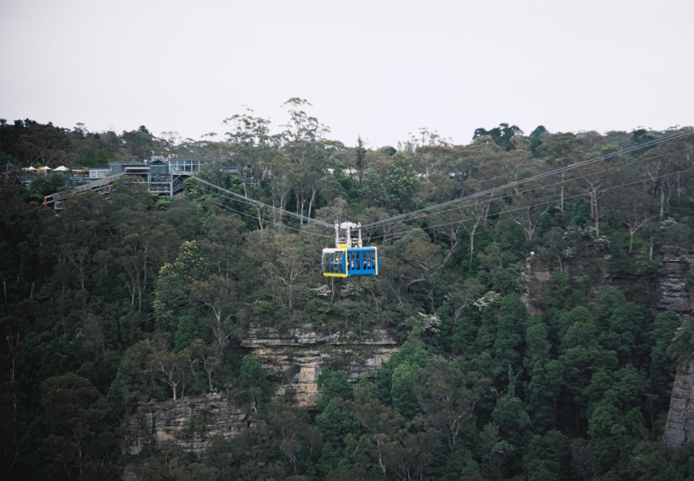 a gondola in the middle of a forested area