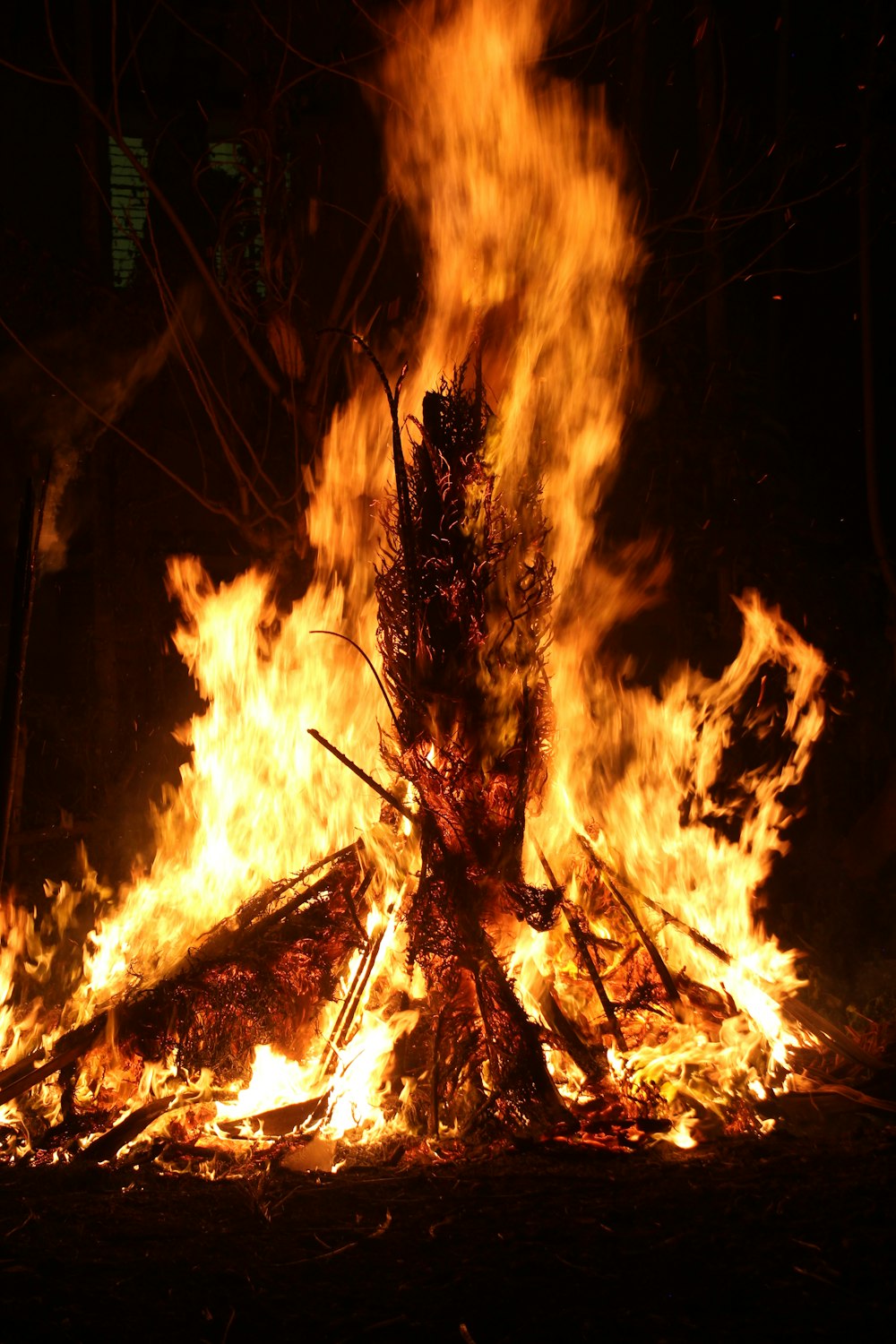 a large fire blazing in a dark forest