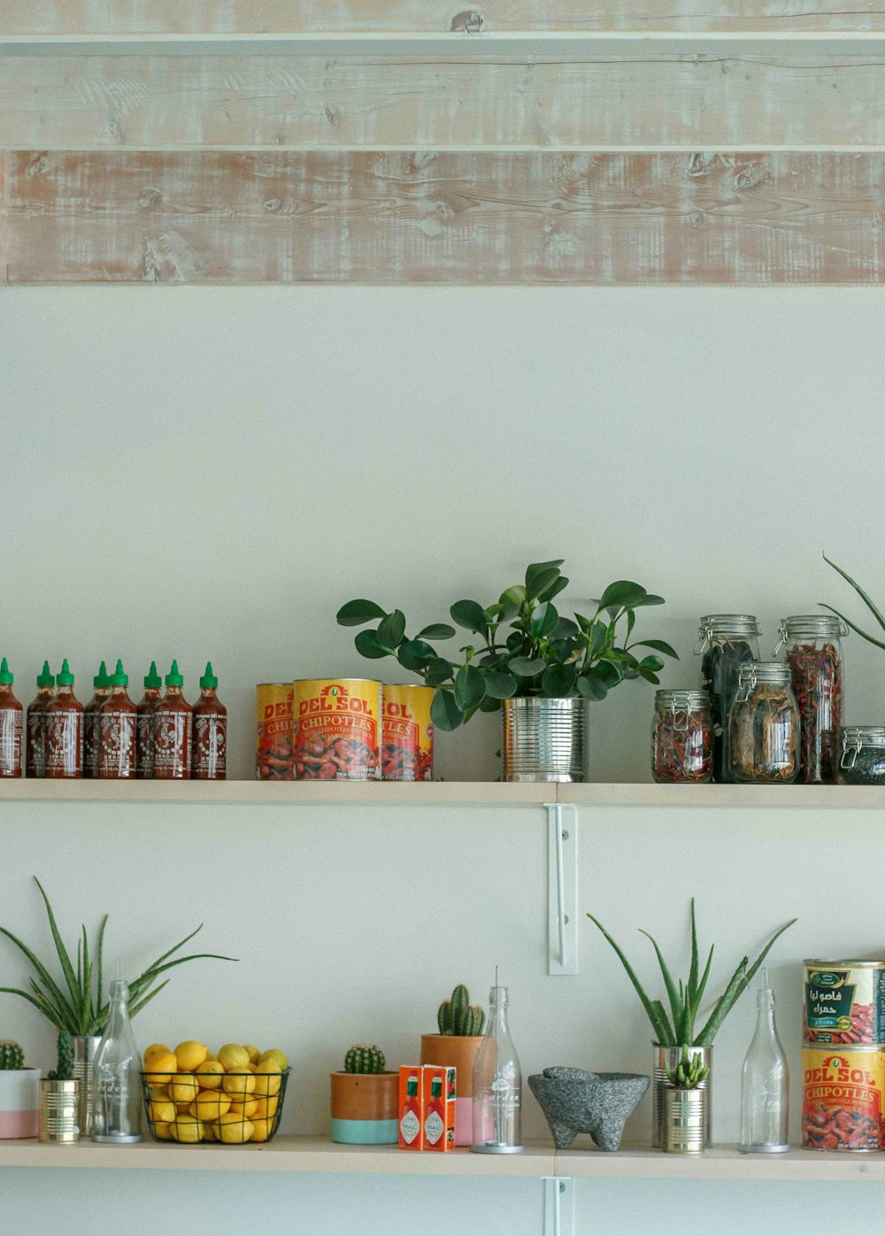 a couple of shelves filled with lots of plants