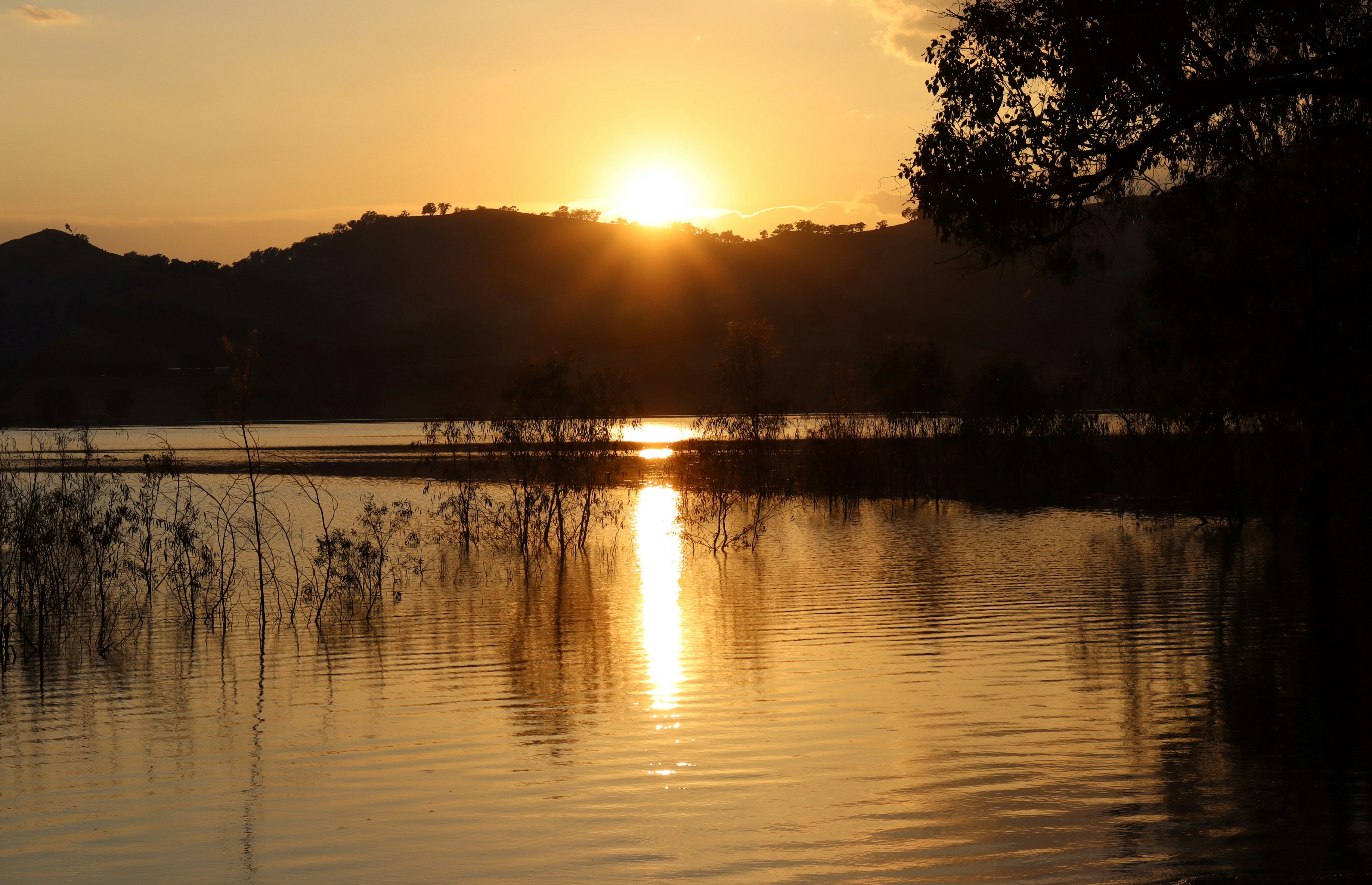 Photo by craigmanners_com