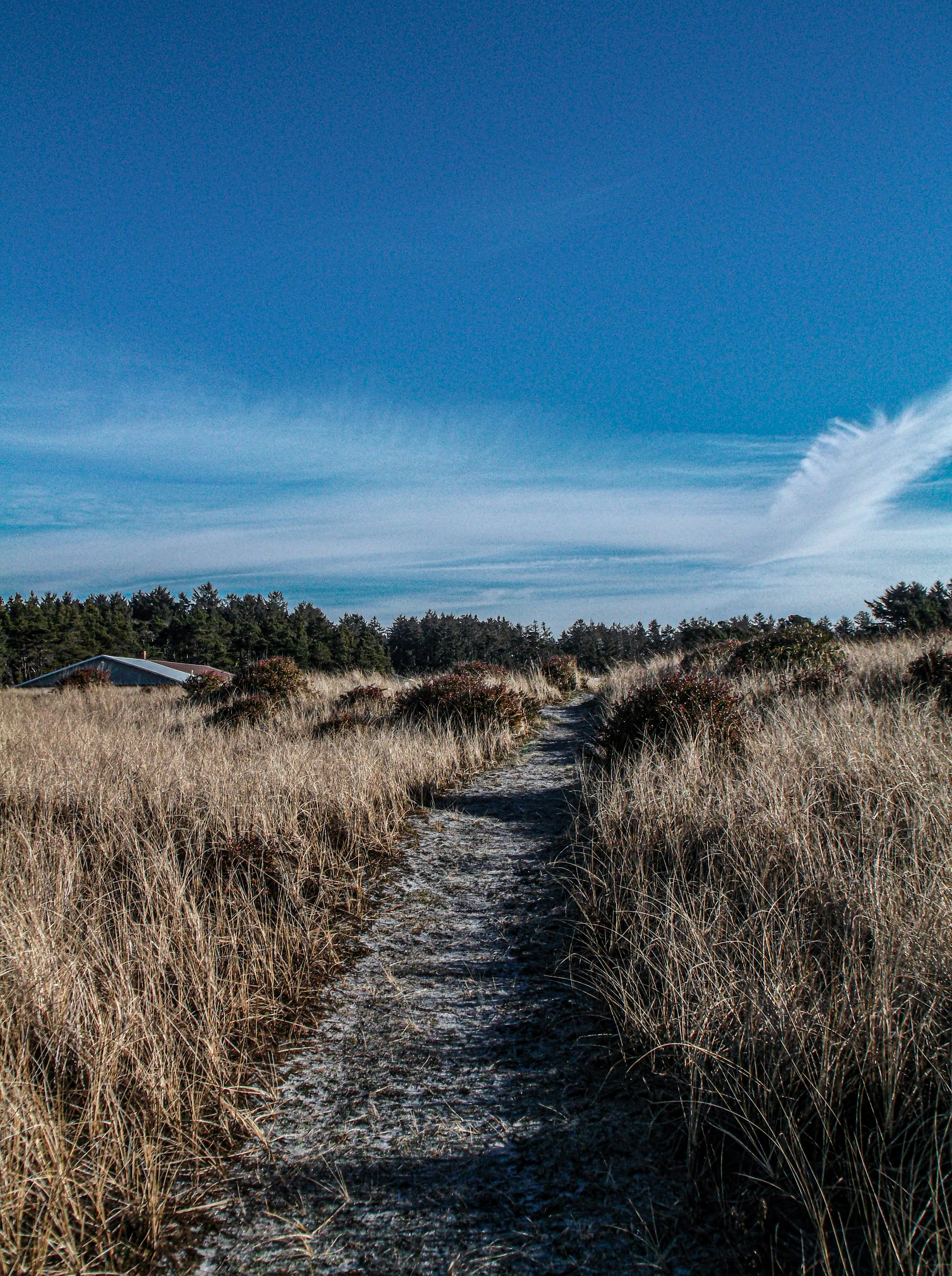 Photo by prphotography262