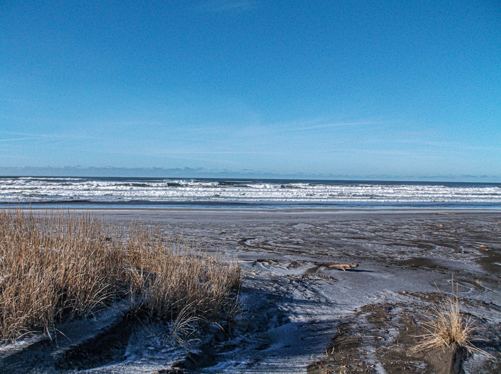 a sandy beach with a surfboard sticking out of the sand