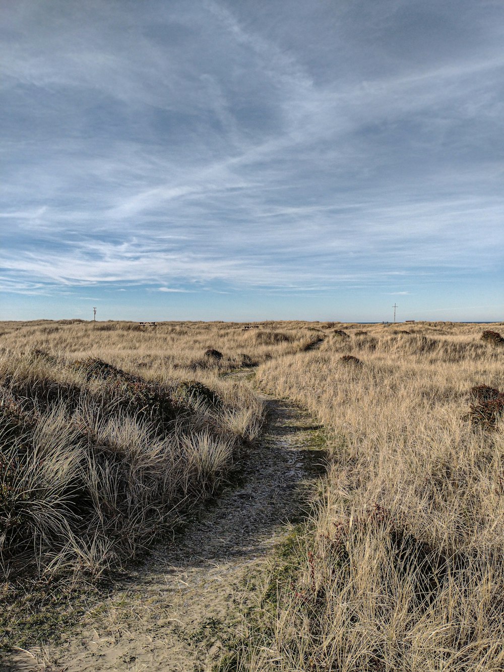 a dirt path in a dry grass field